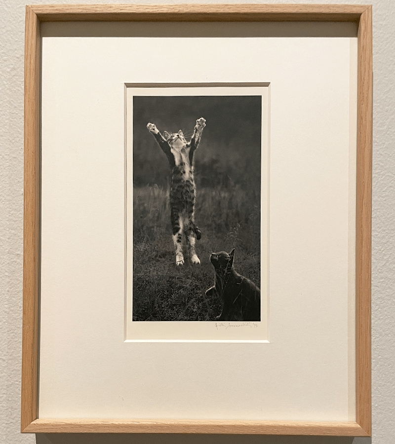 ME KAKSI PENTTI SAMMALLAHTI　ペンティ・サマラッティ Pentti Sammallahti: Me Kaksi