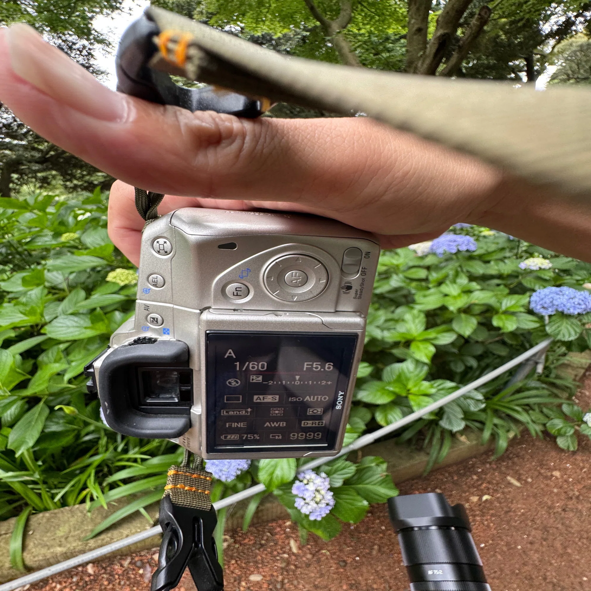 アルファ殺したち？SONY α300｜きくりんぐ