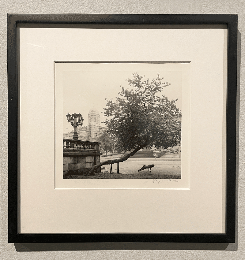 ペンティ・サマラッティ写真展『Me kaksi／The Two of Us』へ｜eriy