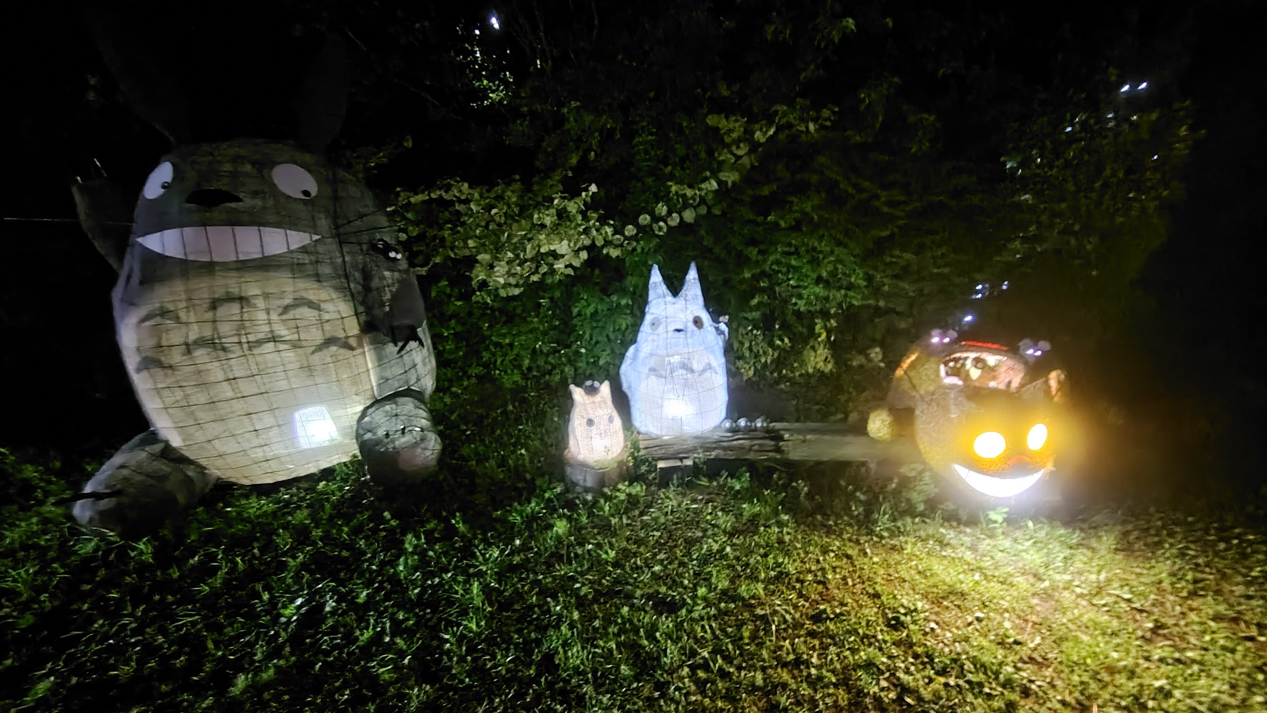 トトロを見に東武東上線の森林公園検収区までサイクリングしてき