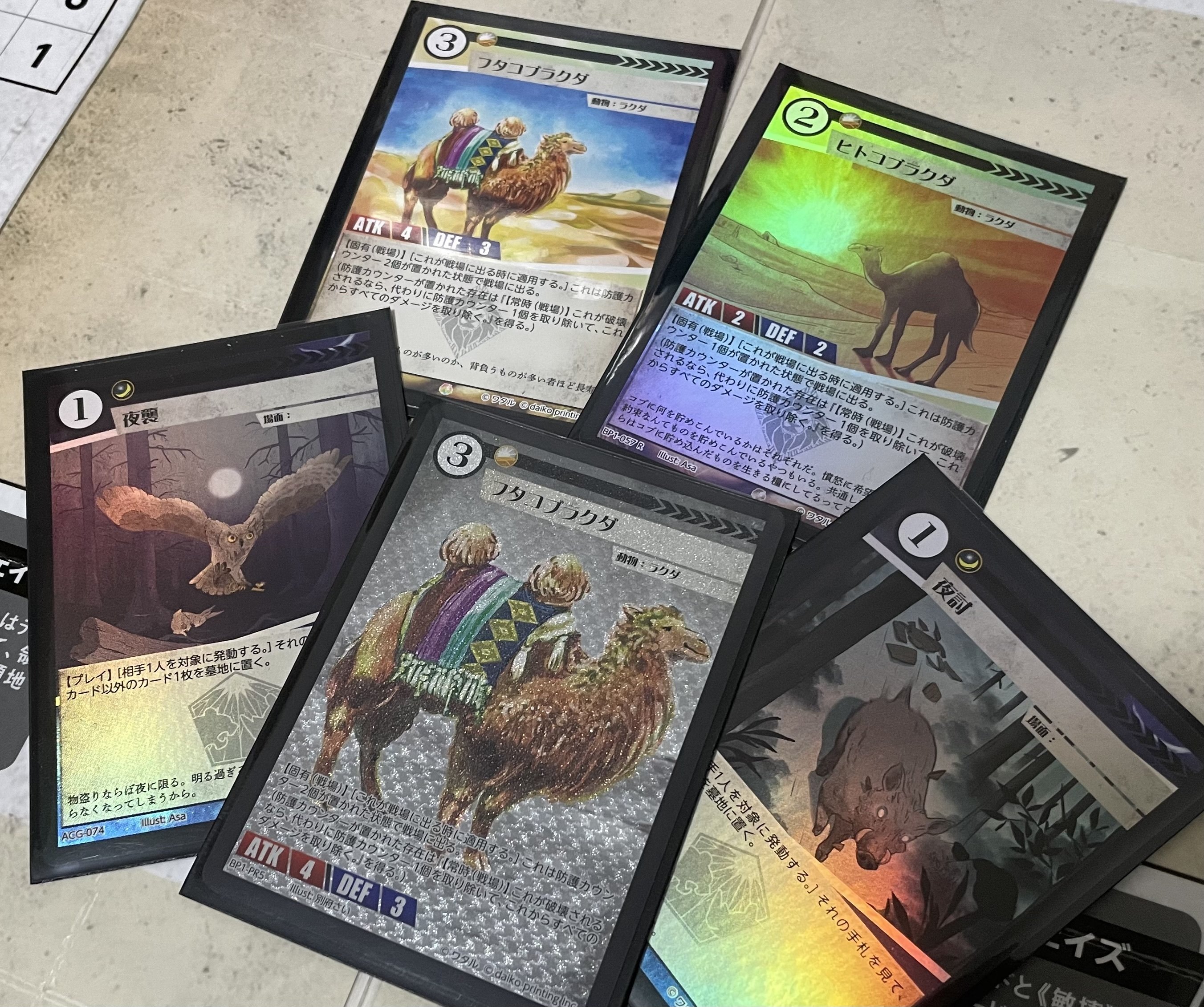 ラクダビートを考える②〜ハンデスラクダ〜｜リンドウ