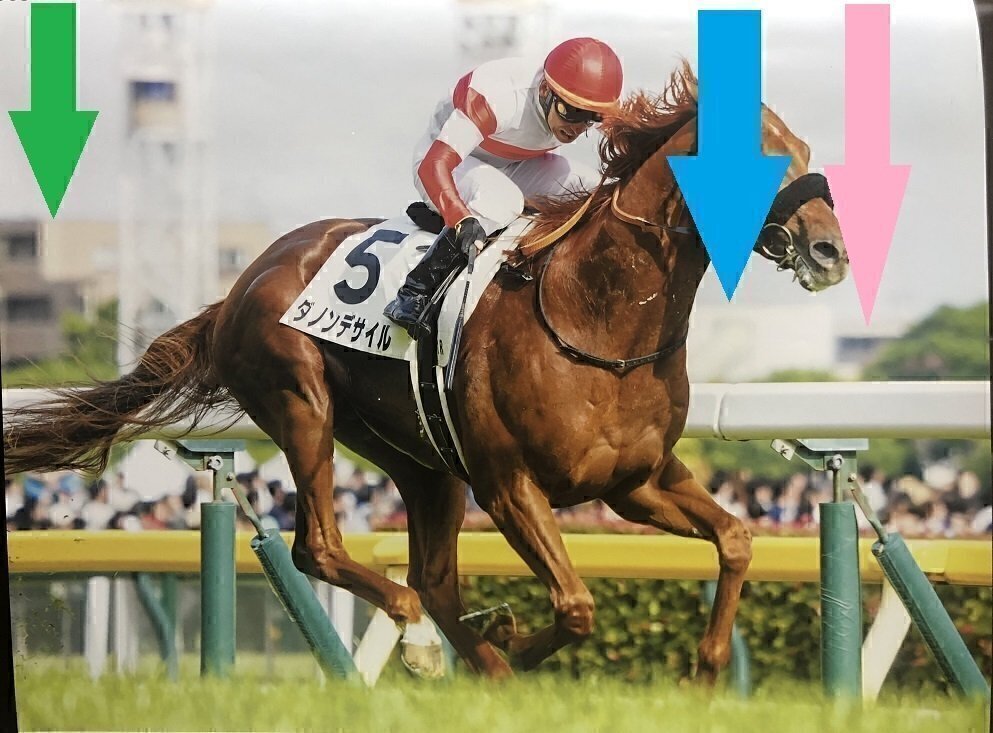 ナチュラルライズ 馬券 カトレアステークス 現地的中馬券 直筆