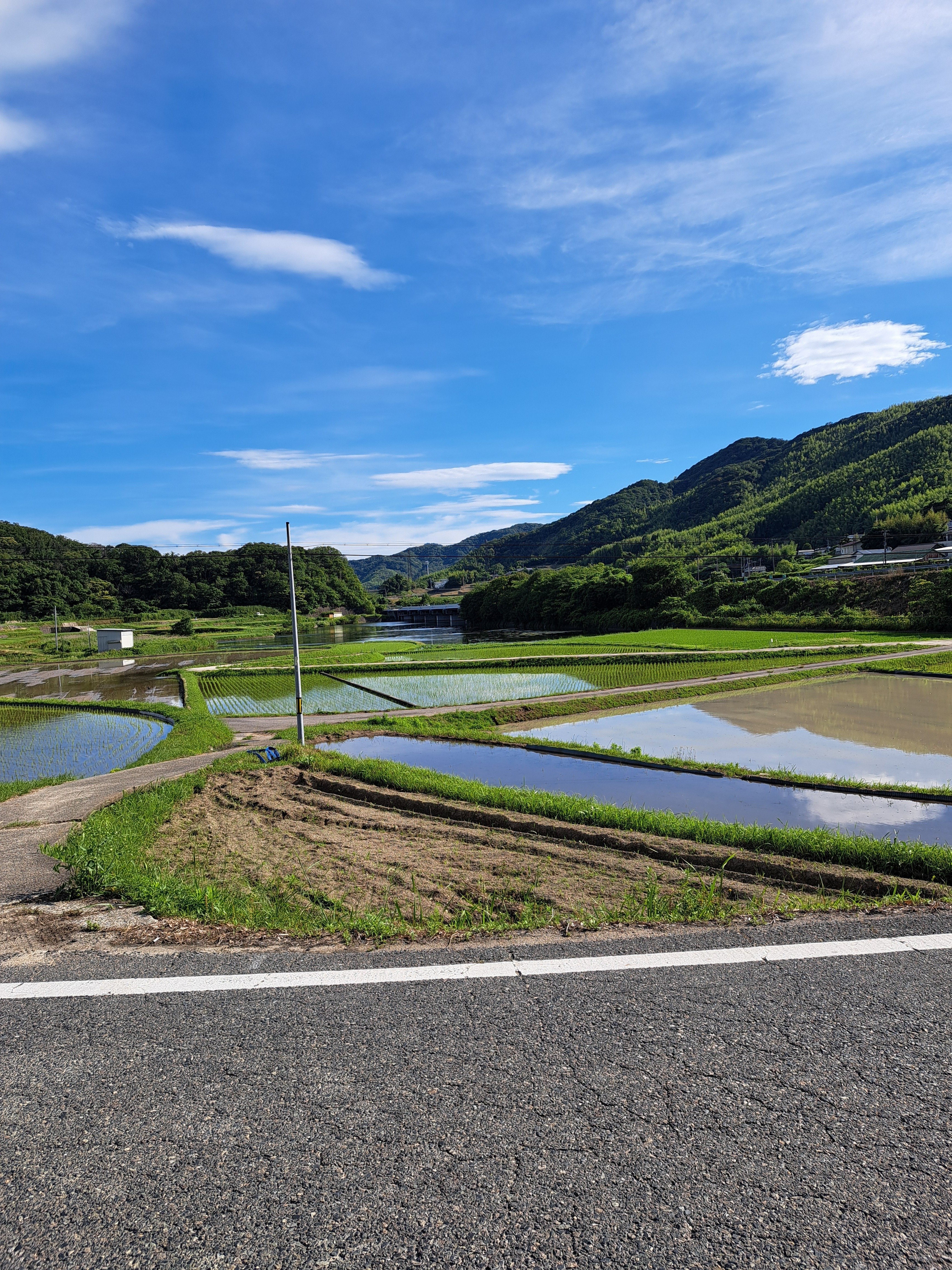 日本風景8 会津若松へ旅行 「さざえ堂」を撮影する。: 放縦懶惰ライカ日記