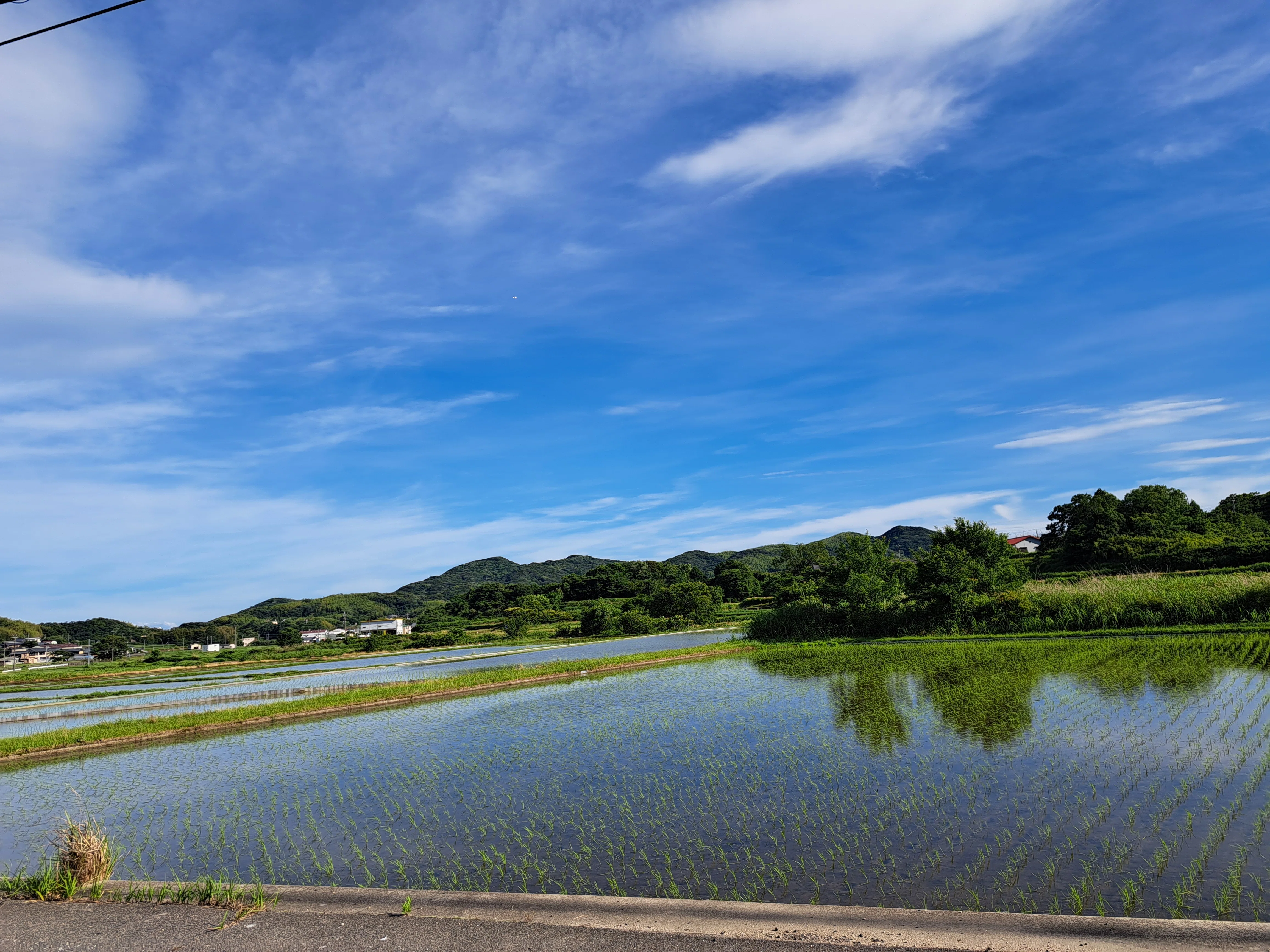 風景圖 水田風景④｜光守氏天貴（ひがしあき)