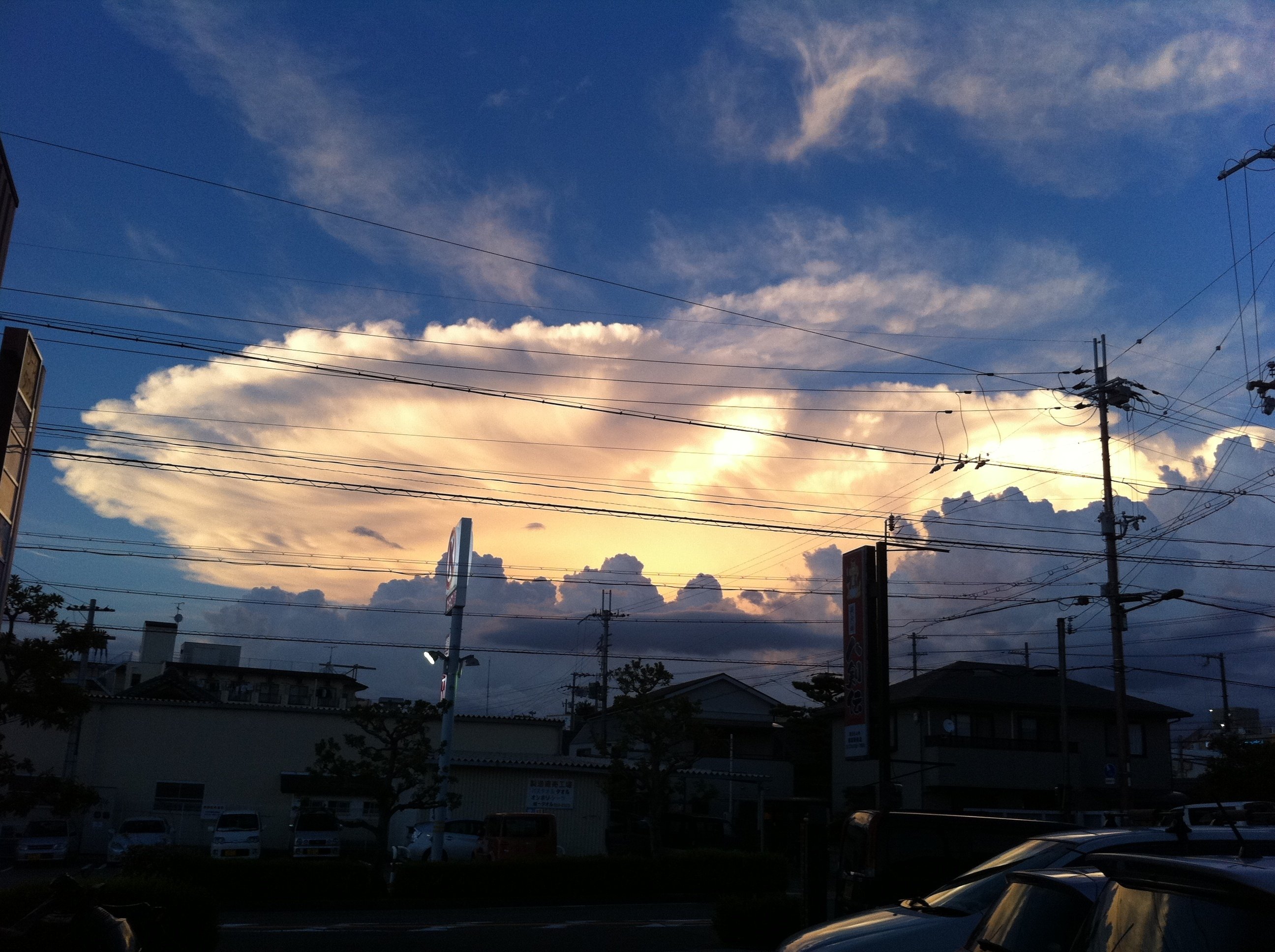 雲はアートだ！選りすぐりの青空と白い雲編 ｜クージー