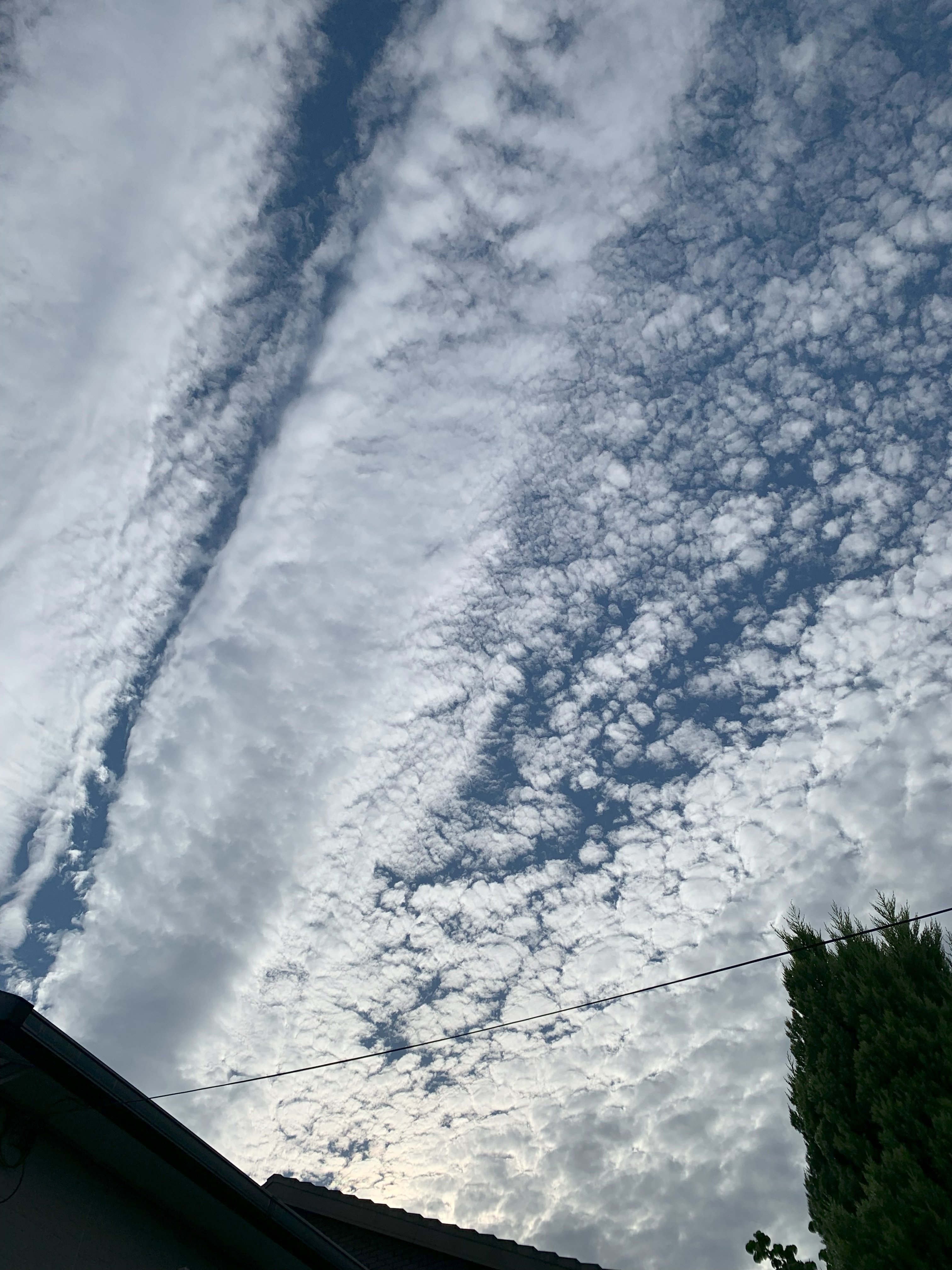 雲はアートだ！選りすぐりの青空と白い雲編 ｜クージー