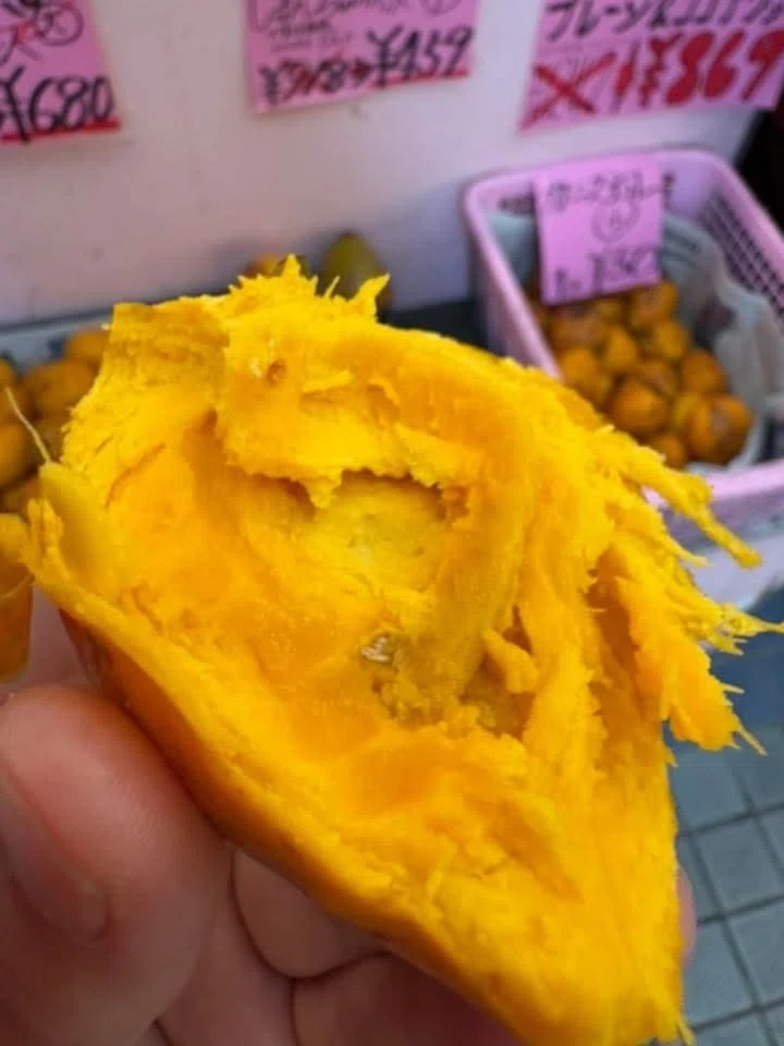 初めて見たカニステル！カンボジア・シアヌークビルで出会った珍しい