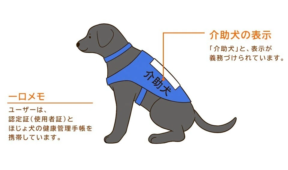 障害がある方の目や耳、手足となる大切なパートナー「ほじょ犬