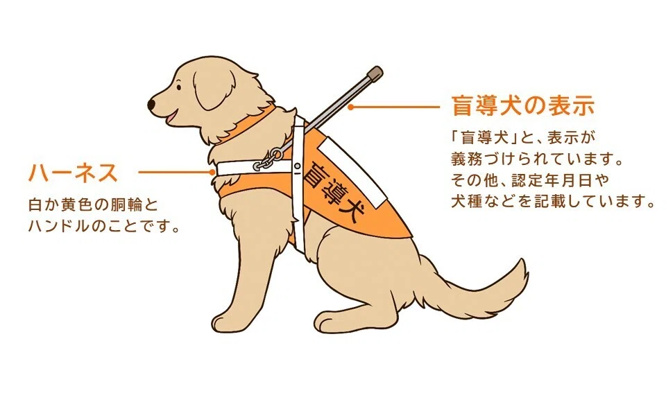 障害がある方の目や耳、手足となる大切なパートナー「ほじょ犬