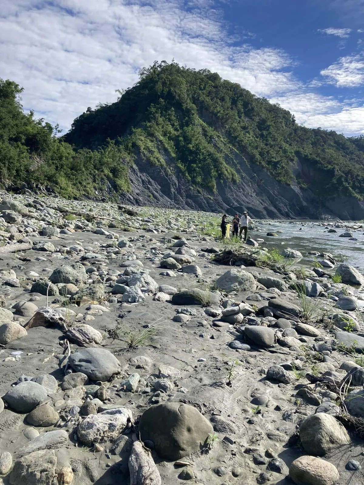 台湾・花蓮 野草の知恵を巡る旅〜アミ族野草文化体験 DAY3｜琉球薬草探究会