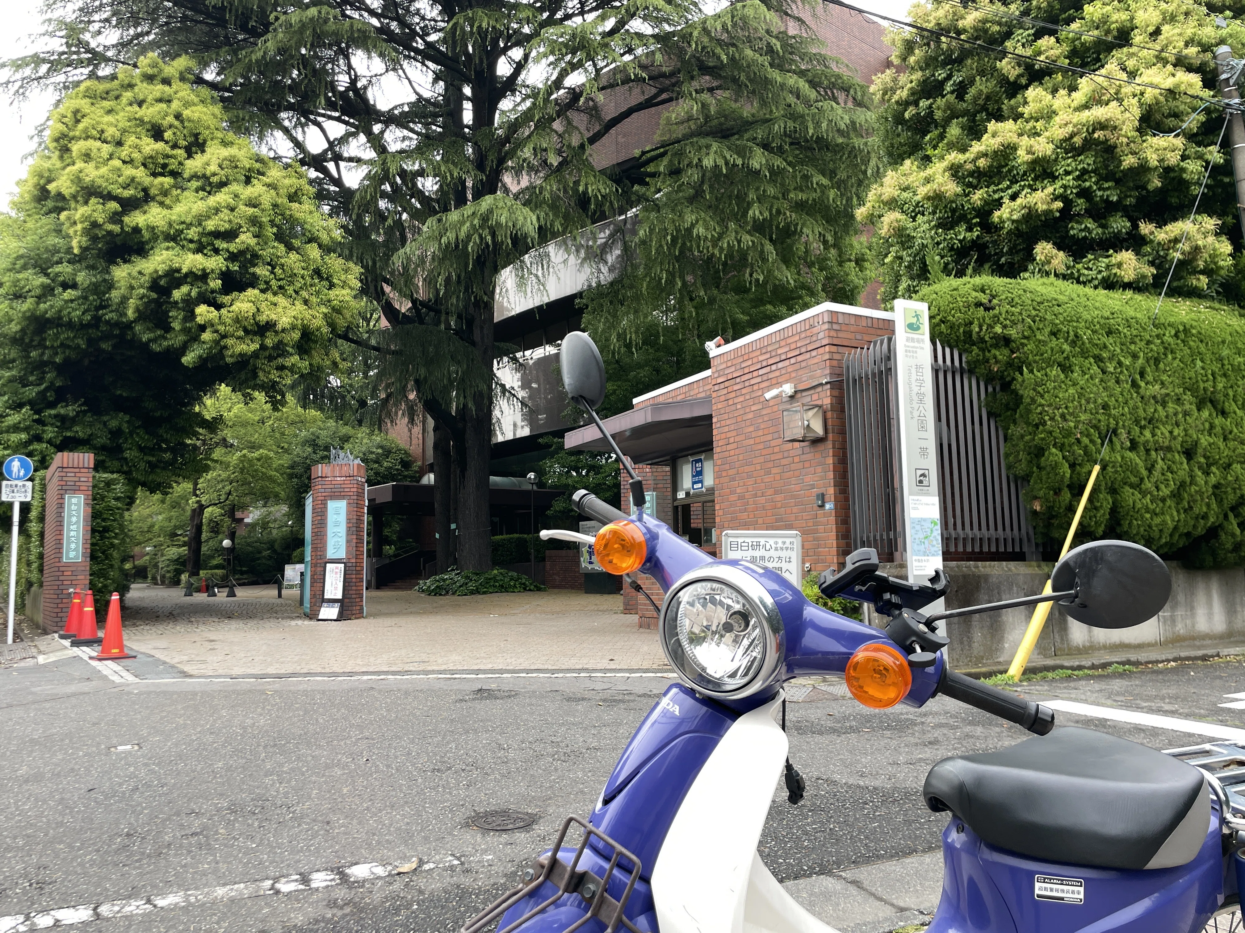 すごい博物館068】新宿ミニ博物館・目白学園遺跡出土品資料室：縄文