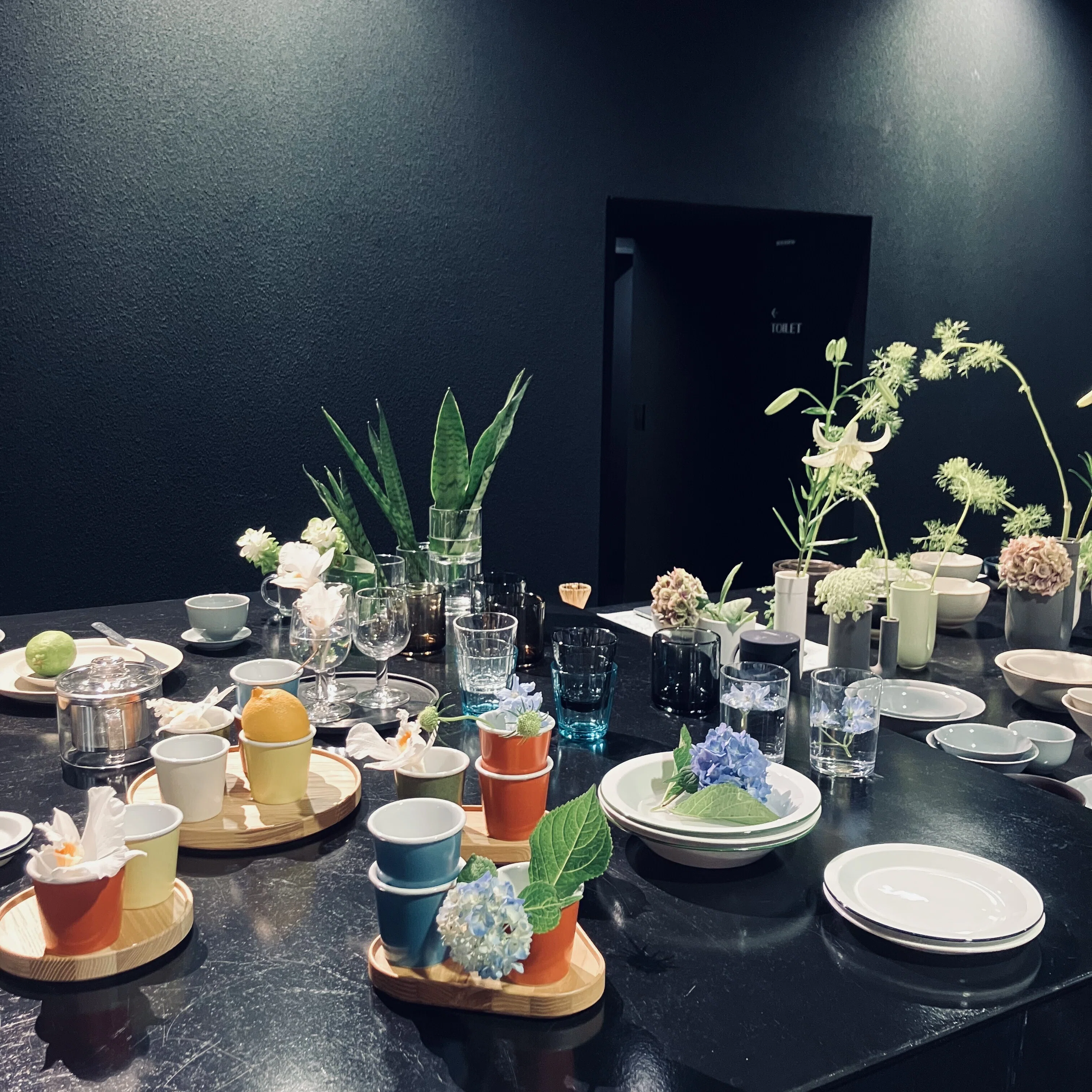 new!! 「Paper Cup Small」が仲間入り｜TOKYO SAIKAI 東京西海株式会社