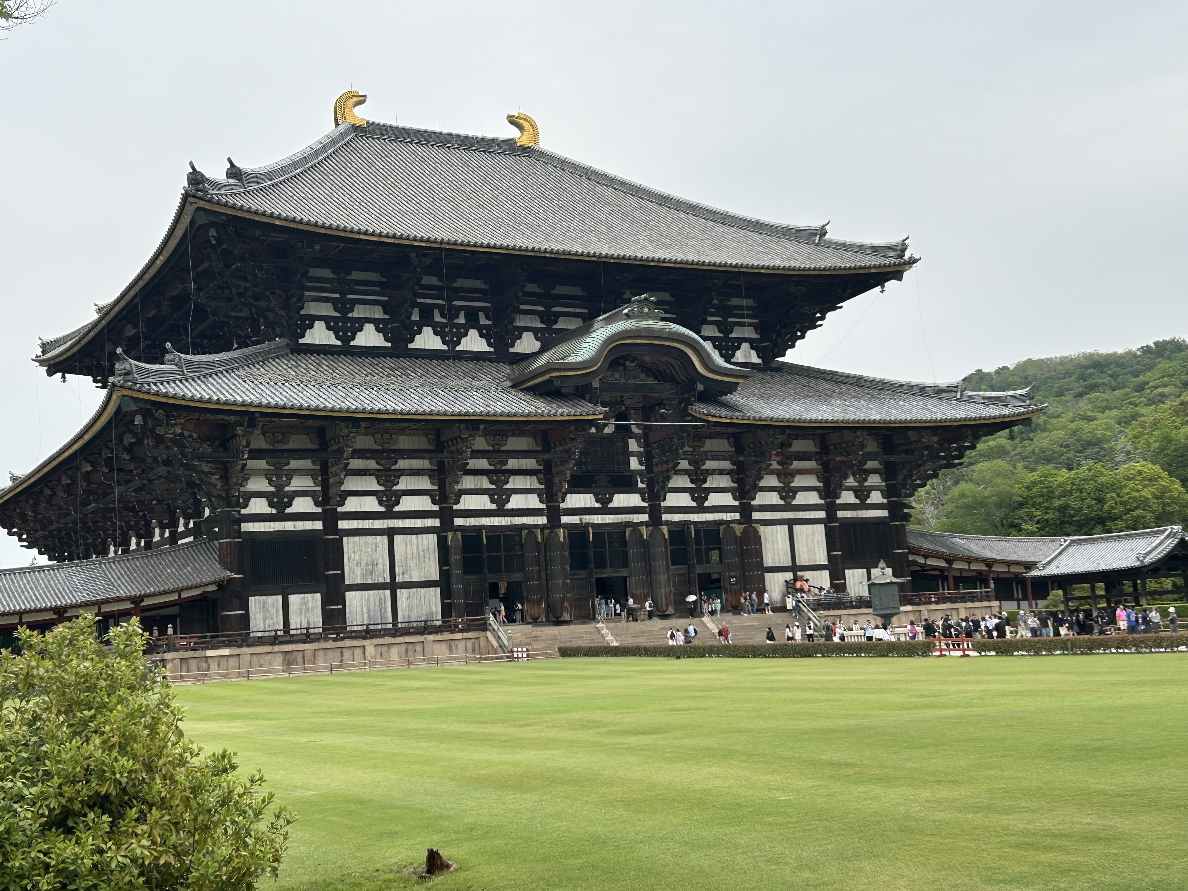 奈良見聞録1-9（東大寺大仏殿）｜kazu_7138