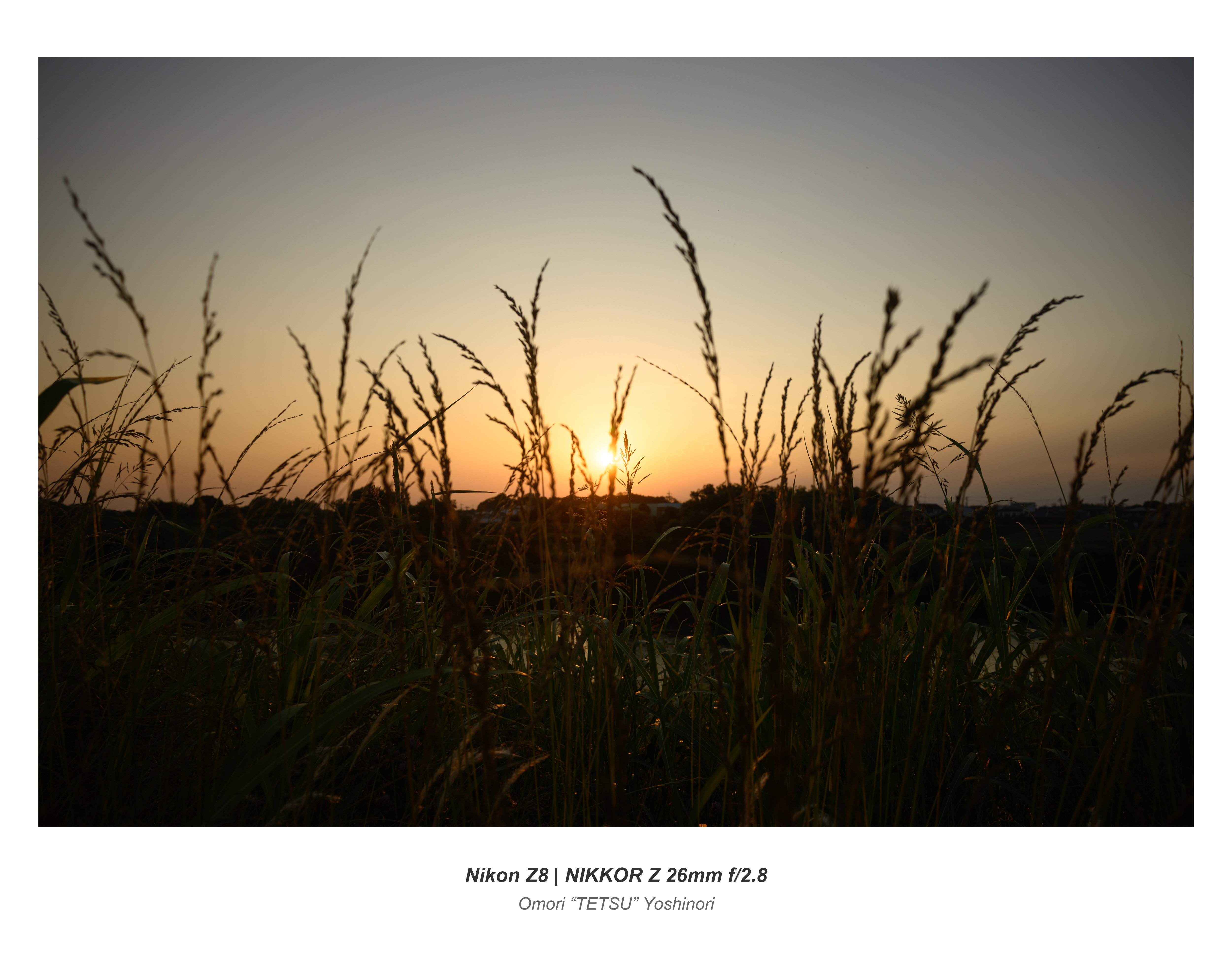 夕方の土手で散歩撮影：Nikon Z8 + NIKKOR Z 26mm f/2.8｜Omori