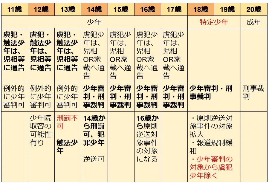 少年司法における保護の構造 : 適正手続・成長発達権保障と少年司法改革の展望 SWを極めるゼミNO.15 少年司法制度｜榊原尚之（弁護士法人アール総合