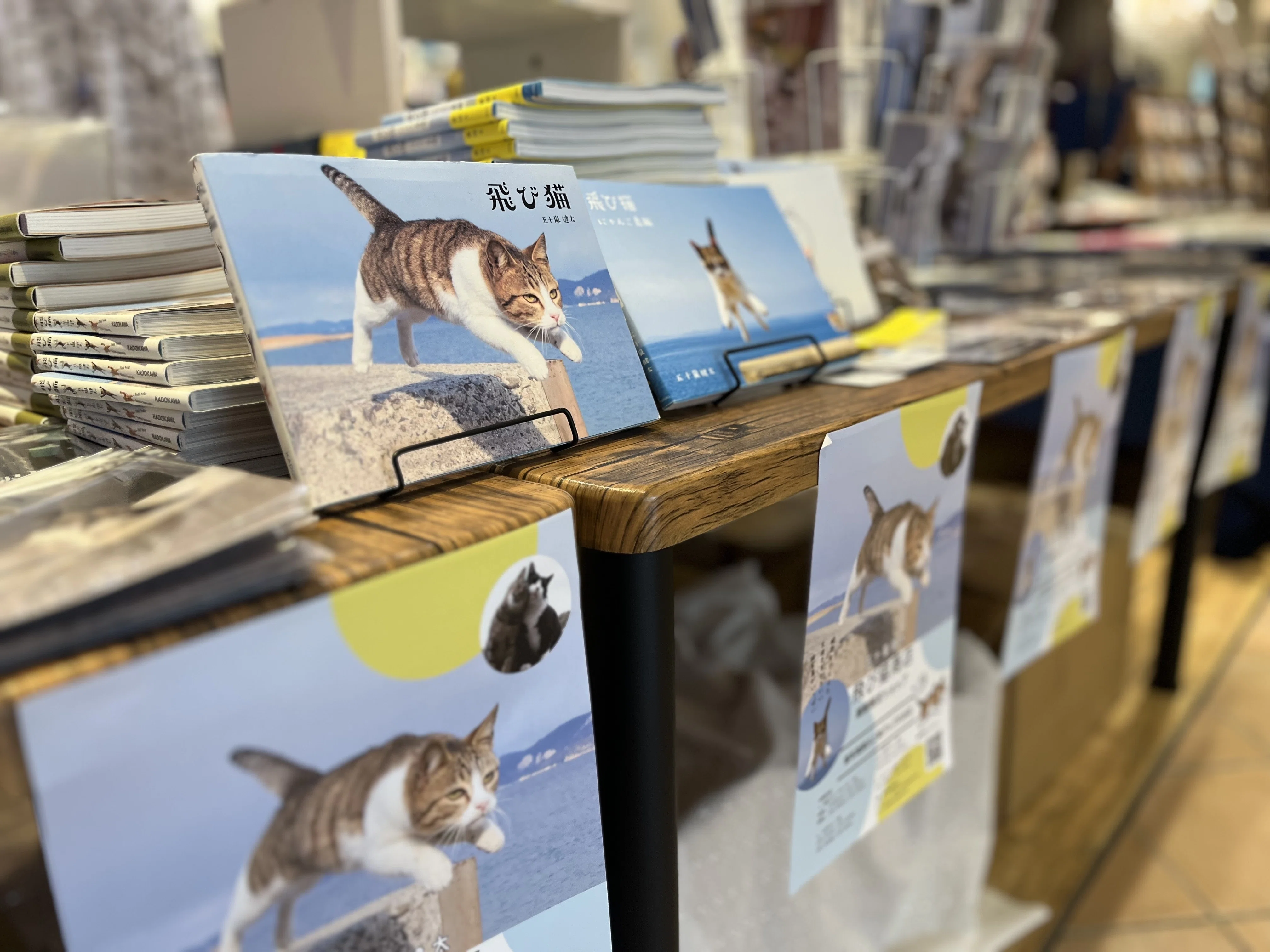 飛び猫®︎”で世界を魅了！“好き”を極めて生きる猫写真家｜五十嵐健太 