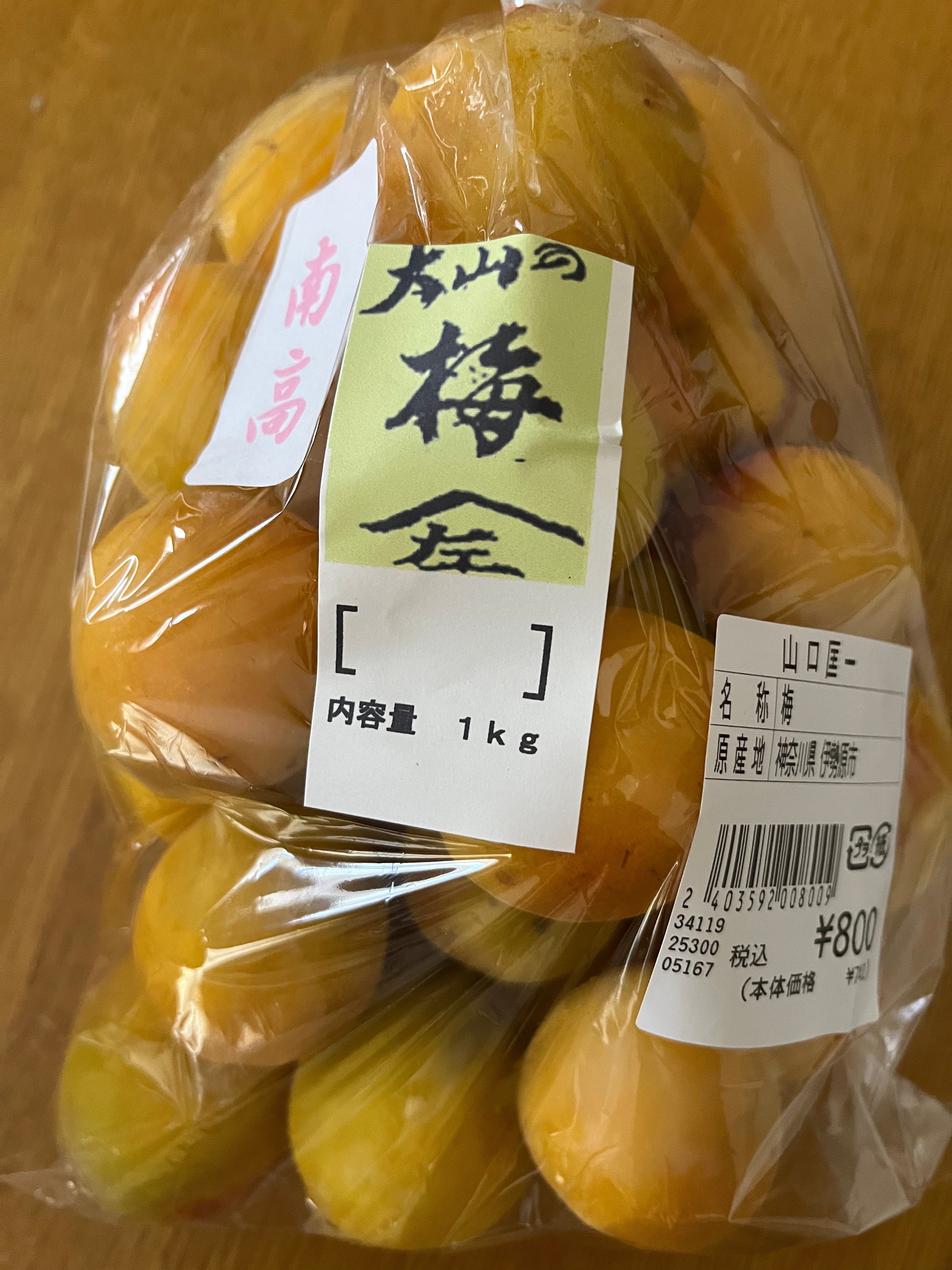 南高梅　白加賀　十郎梅 遂に憧れの「山口さんの梅」で梅干しを仕込む〜十郎梅から南高梅