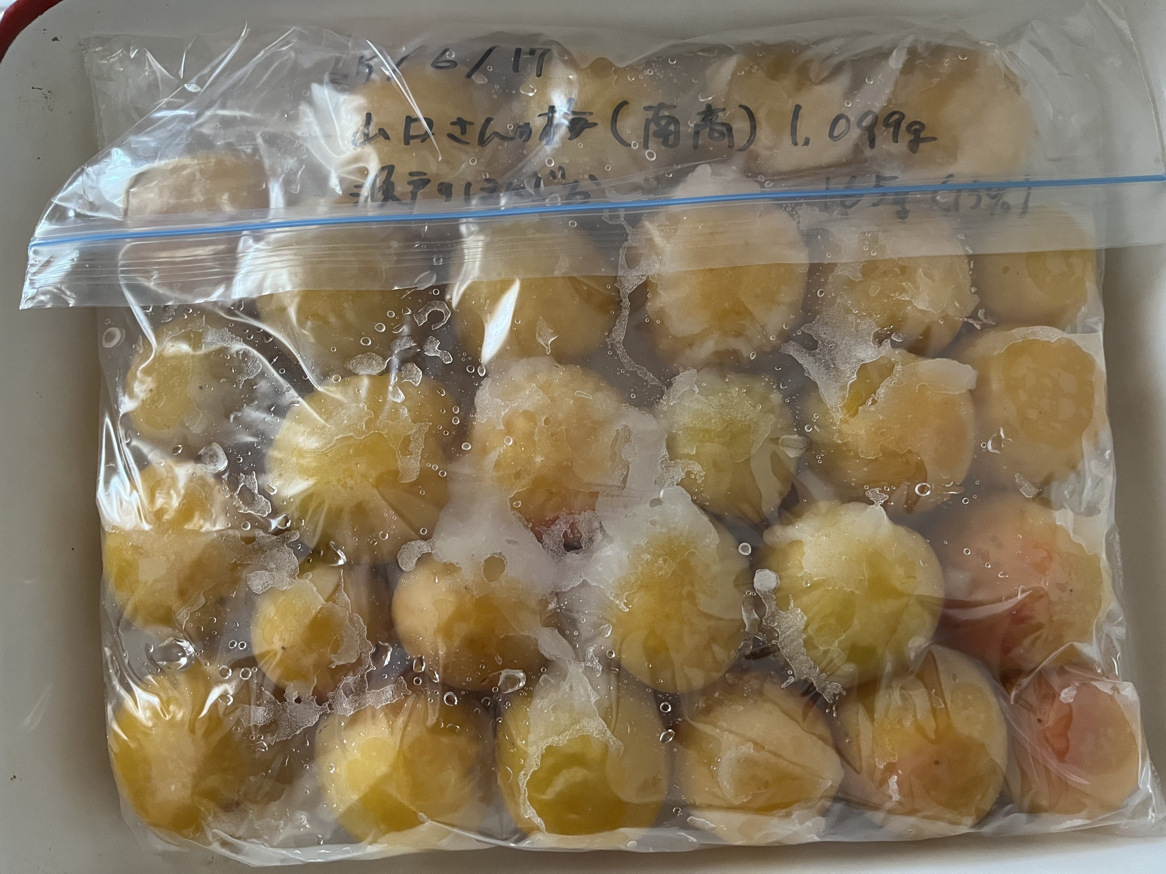 生梅　５キロ　①　南高梅　②白加賀　③鶯宿④種類十郎 ミックスでも。 生梅 5キロ ① 南高梅 ②白加賀 ③鶯宿④種類十郎 ミックスでも。