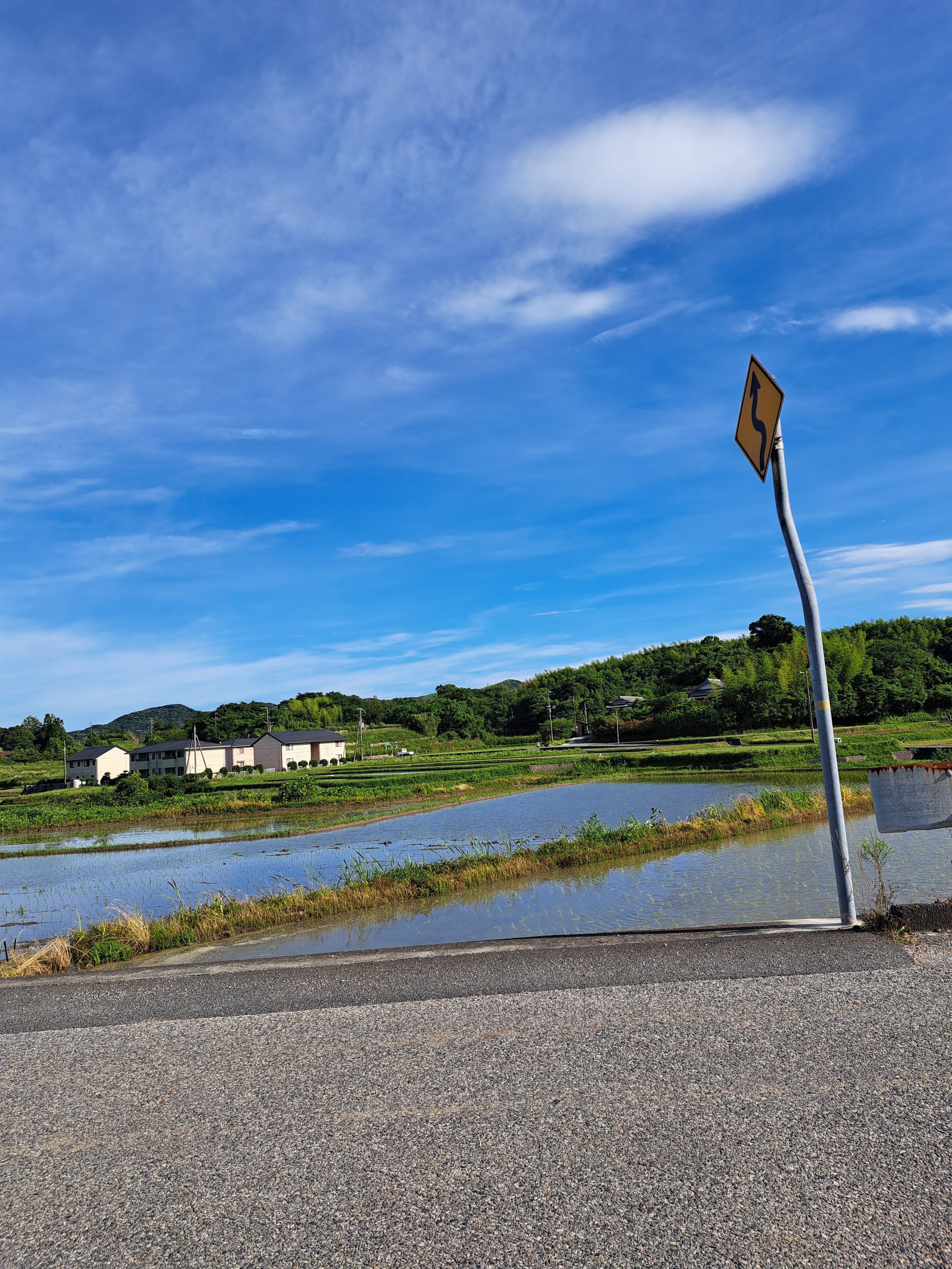 水田風景④｜光守氏天貴（ひがしあき)