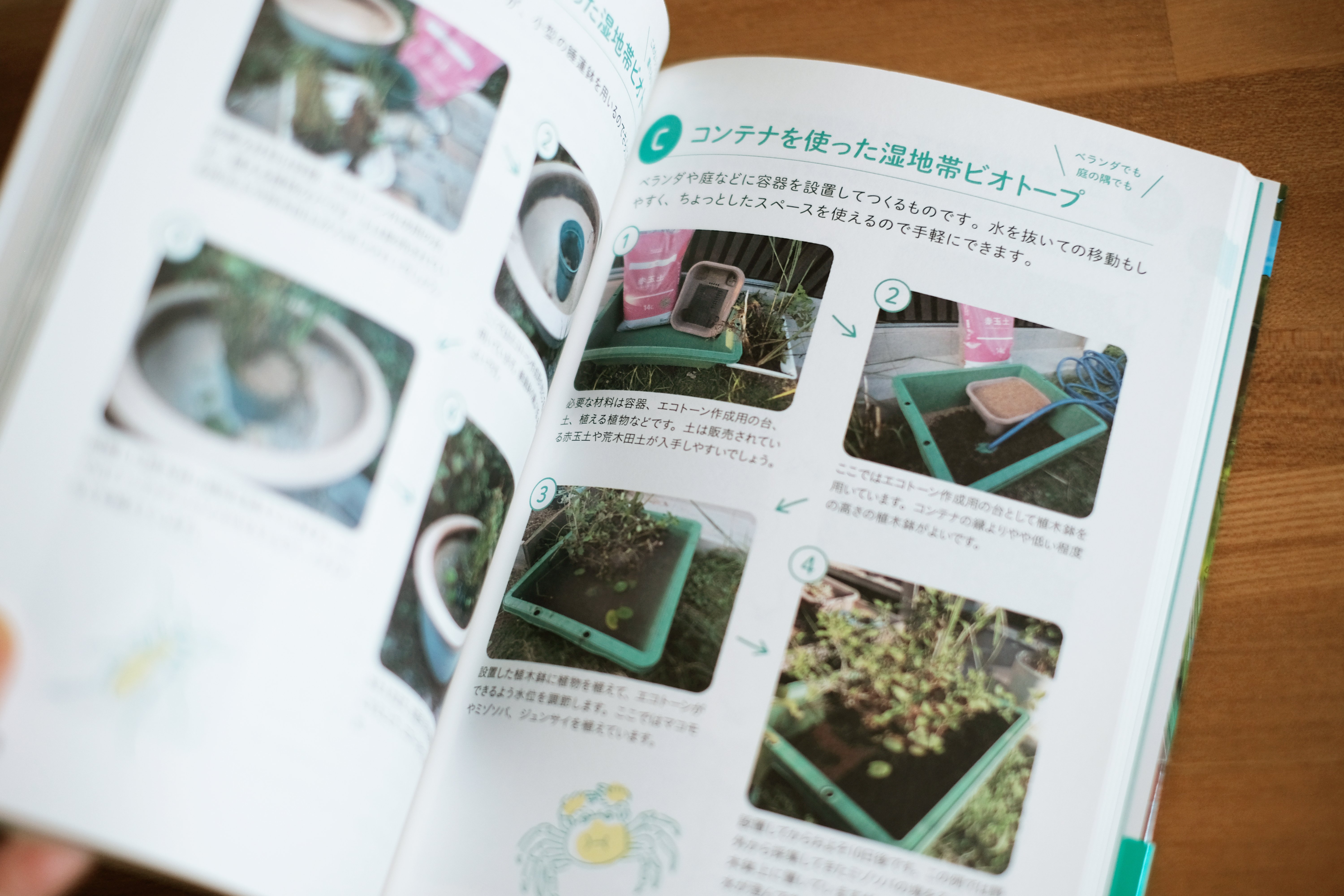 生物のすみかをみんなでつくる　ビオトープであそぼう　全5巻セット 生物のすみかをみんなでつくる ビオトープであそぼう 全5巻セット 本
