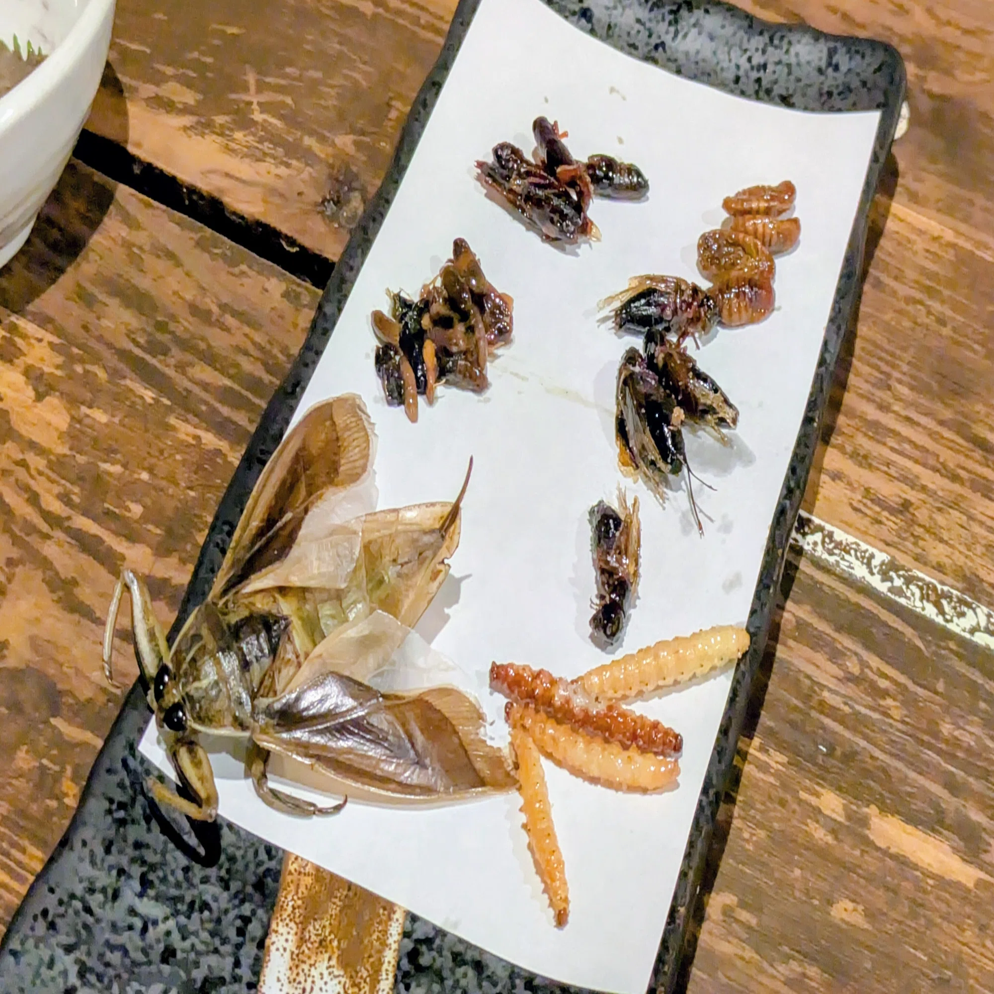 美味しい 虫