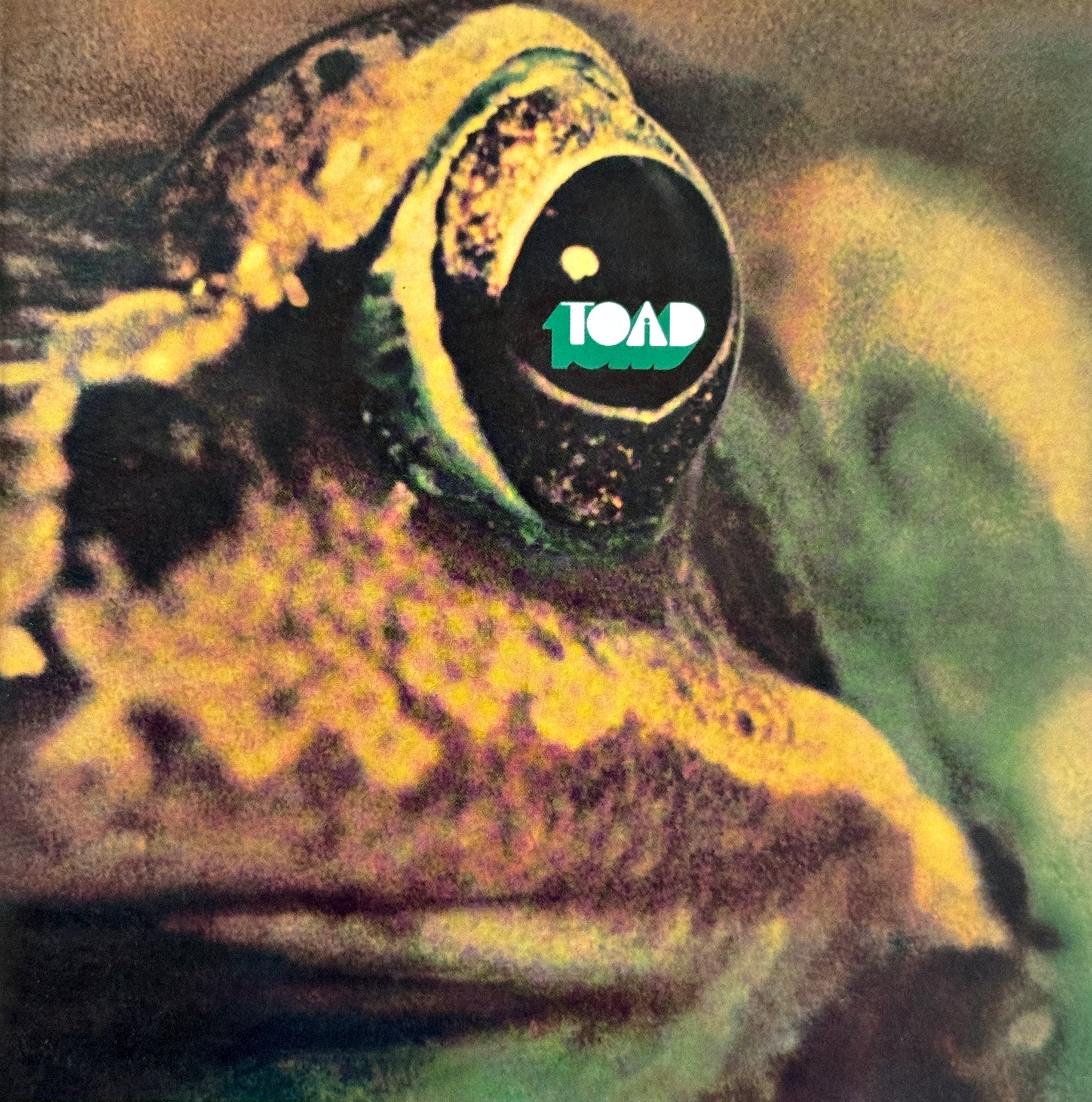 スイス発ハードロックの原点：Toadの衝撃的デビュー作『Toad』｜店長