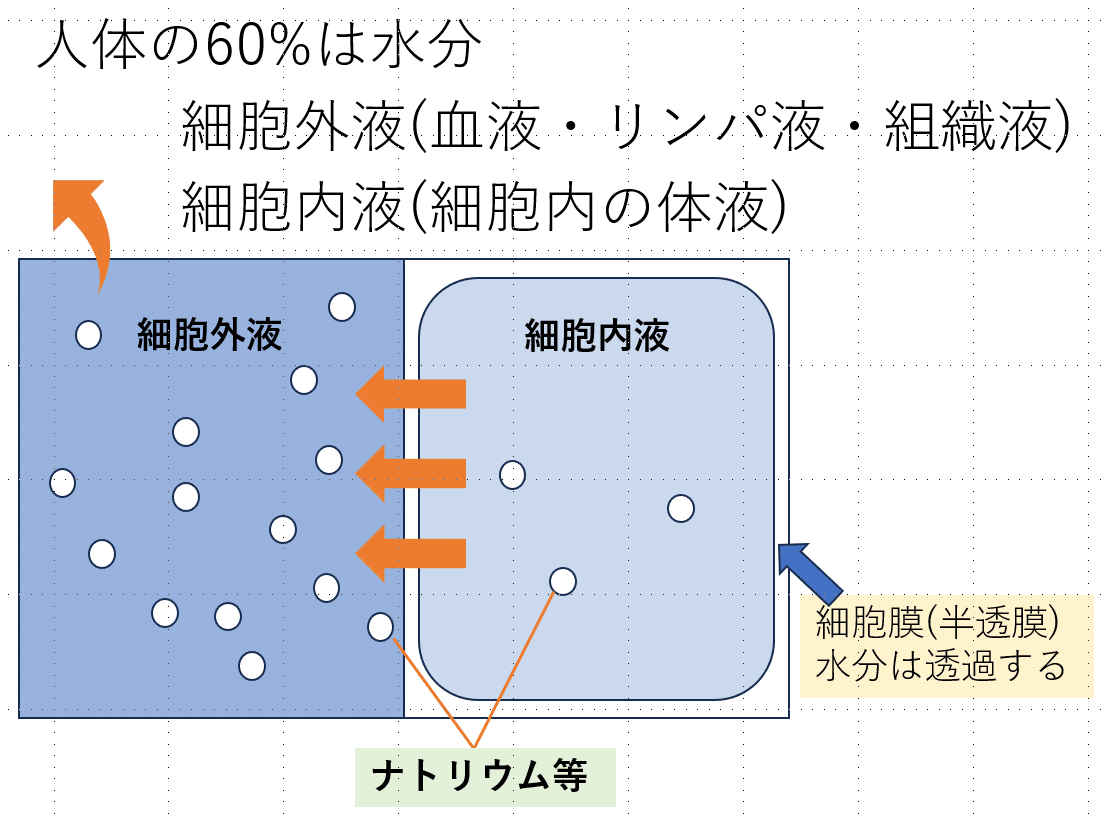 堂島川労働安全コンサルタント事務所