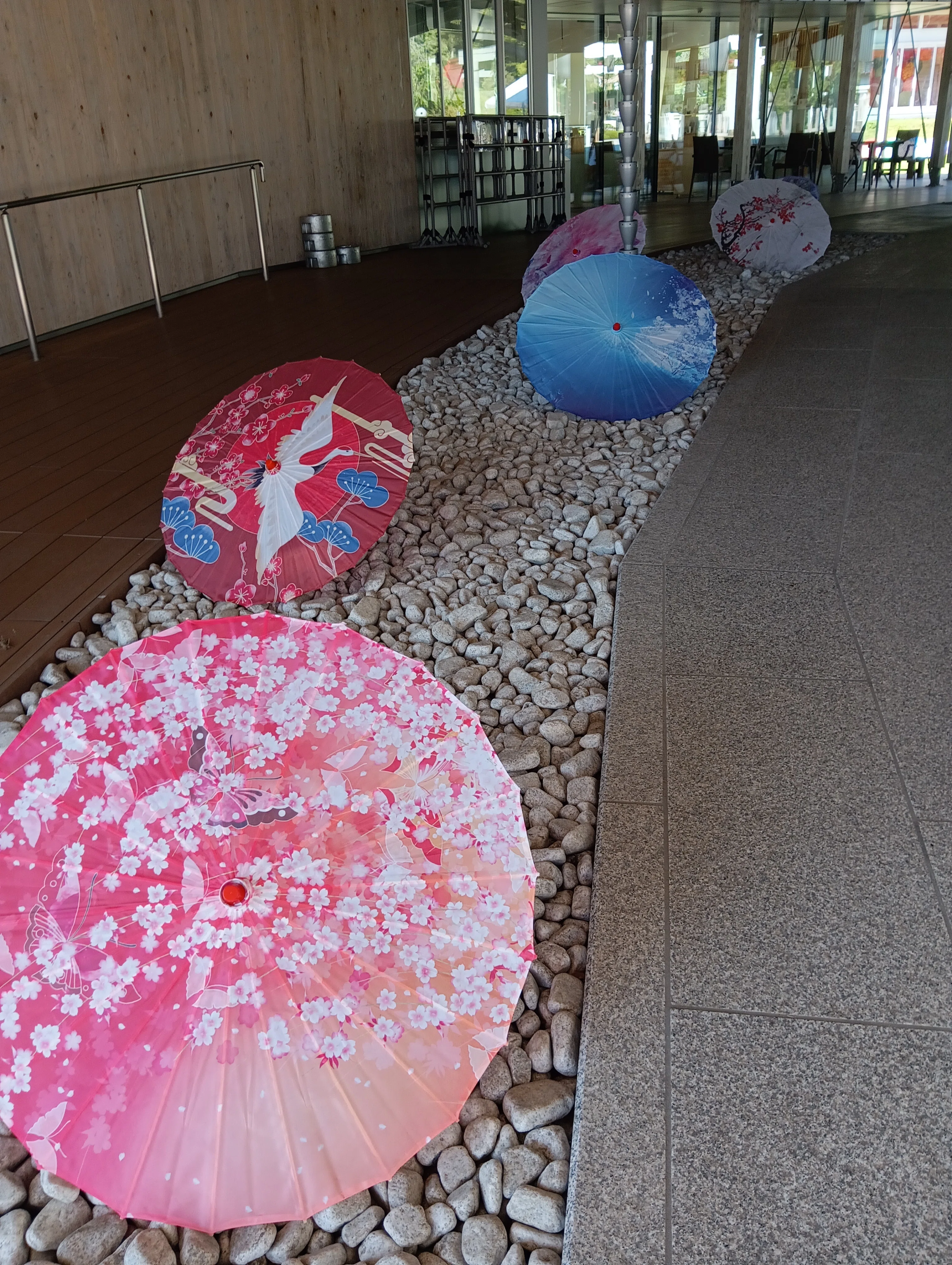 2025年6月のおでかけ＃1 金蛇水神社｜あらかん みぃさん