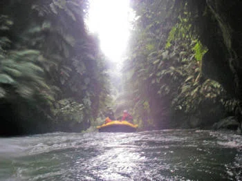 Plunging down a 7m waterfall! - Kaituna Cascades in Rotorua｜Iwao FUJII