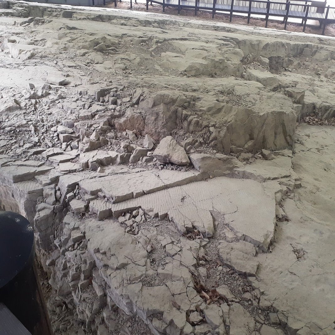 第三回Earth Science Festival韓国大会(ESF2025)備忘録｜とあるまちのkくん