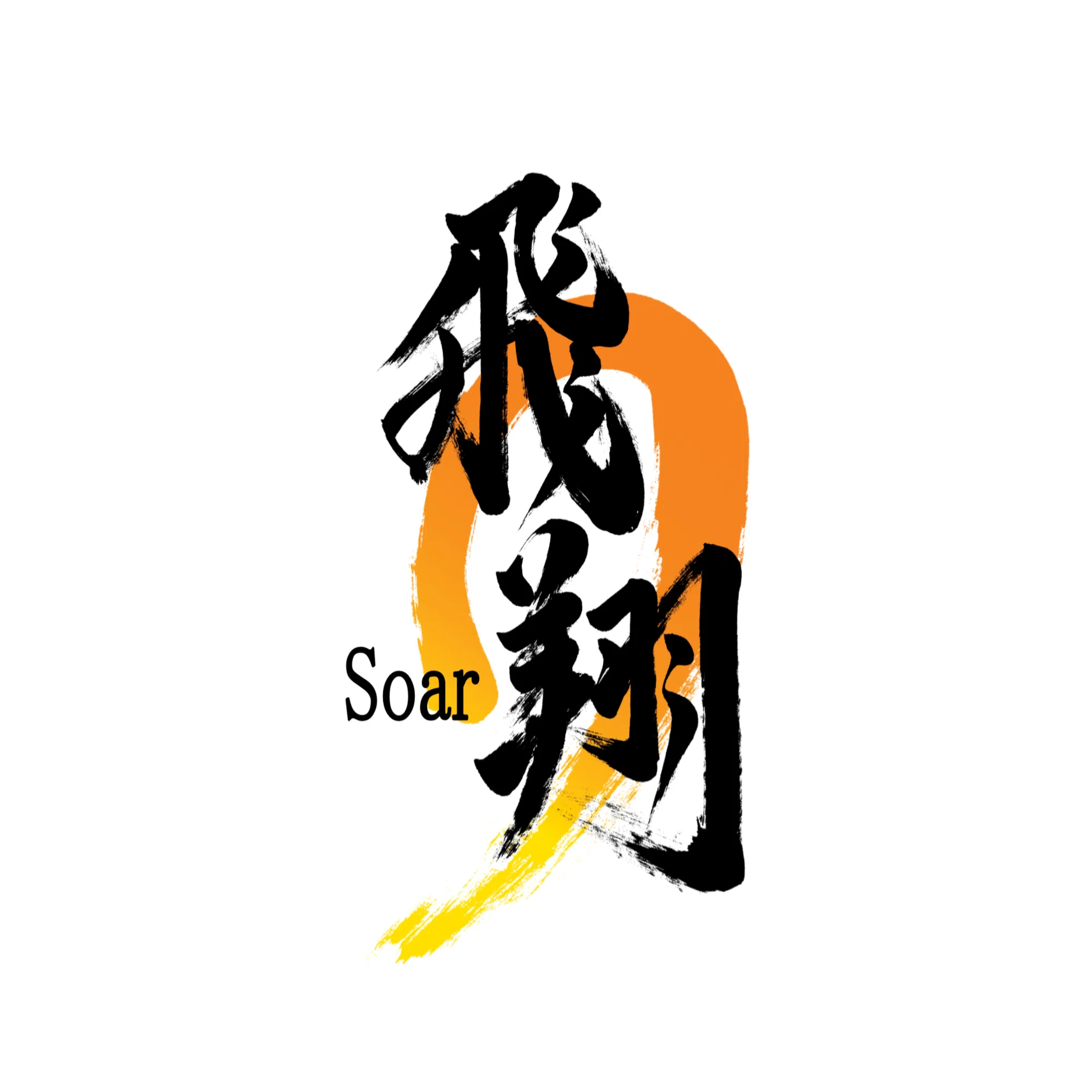 飛翔」筆文字作品まとめ｜龍雲/Ryuun