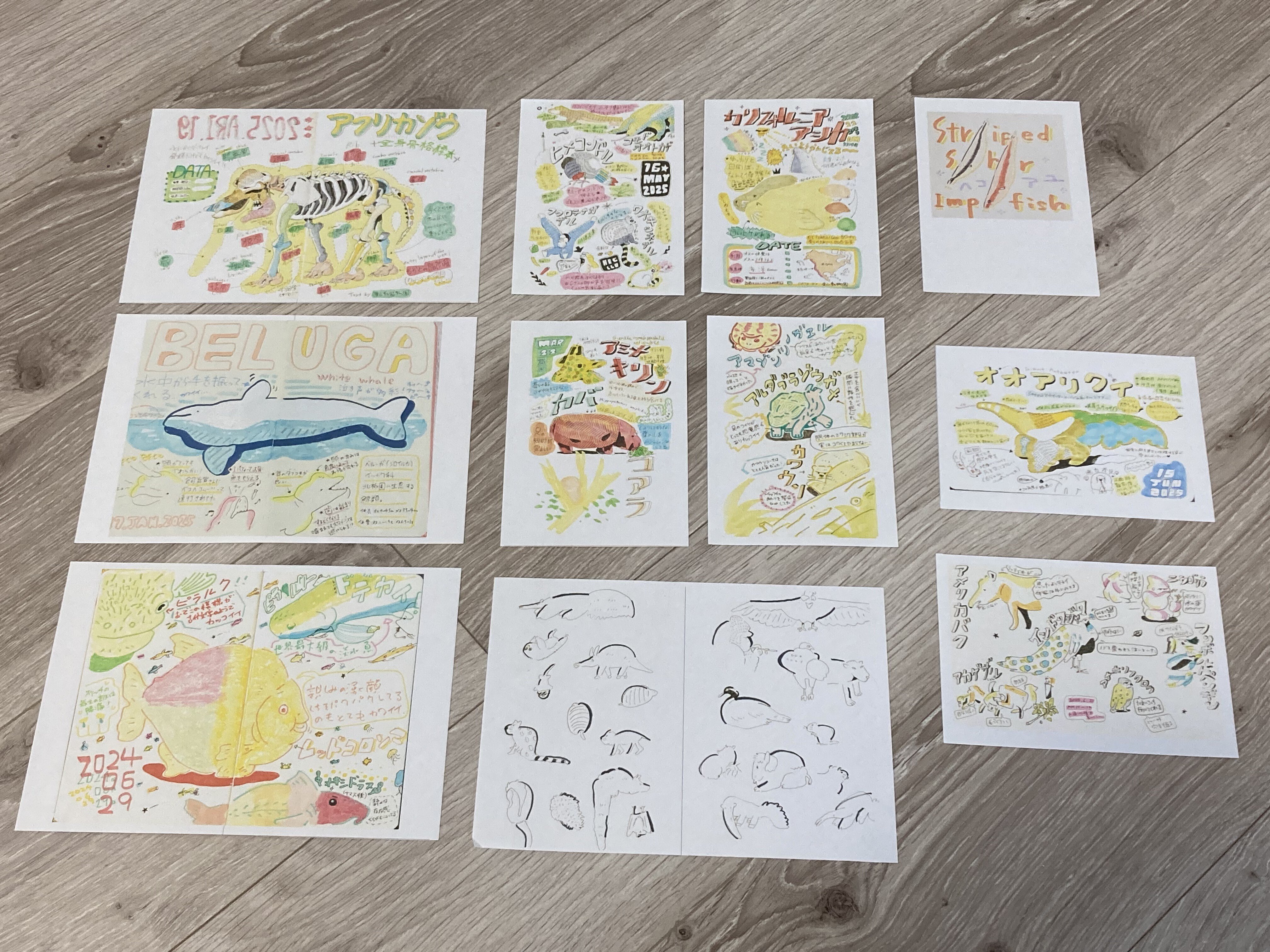 ZINEの構成って、どうしてこんなにむずかしいんだ…！｜水谷 慶大