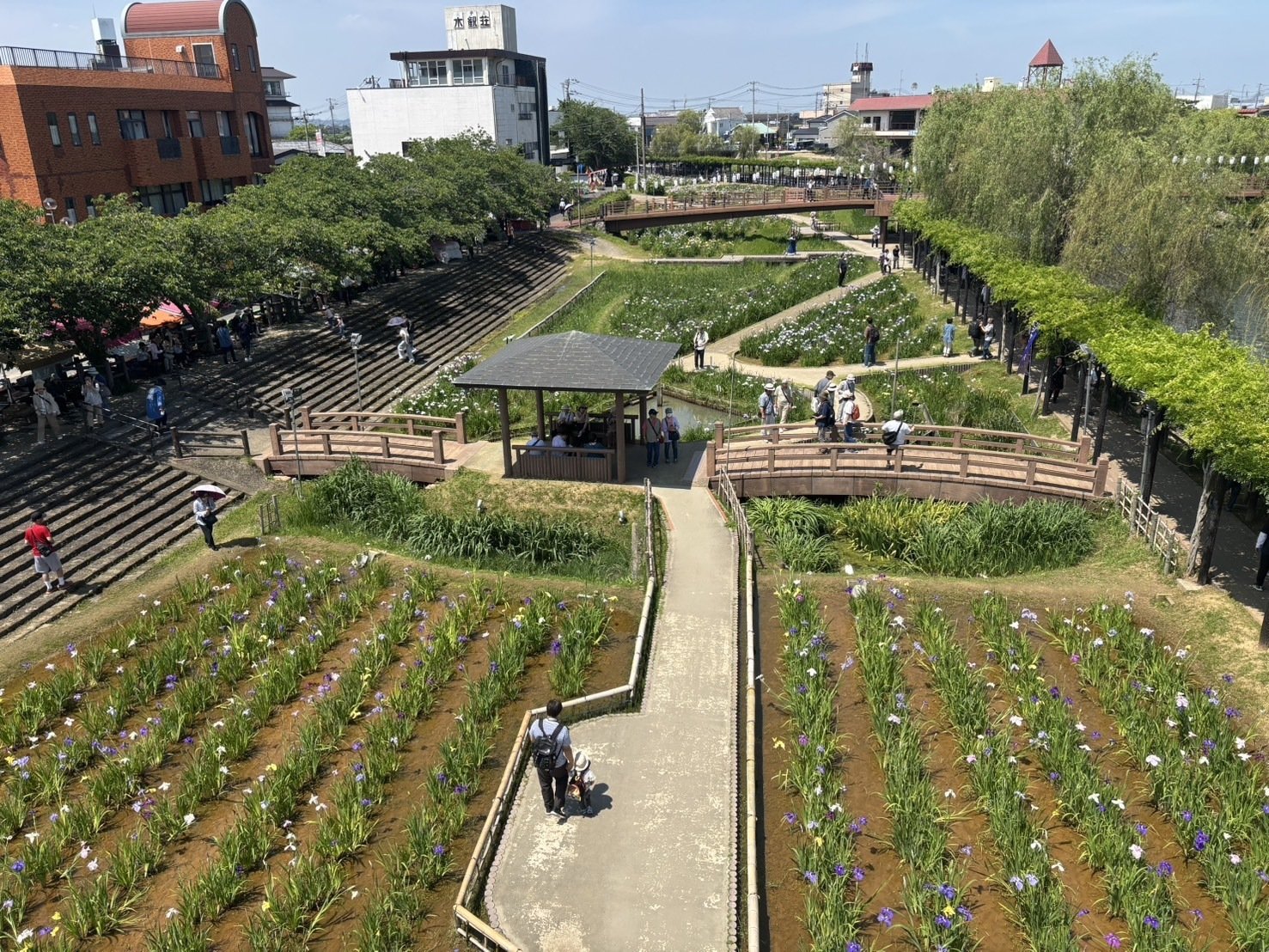水郷潮来一日あやめ娘として、しかこがPRしてきました！｜鹿島アントラーズ
