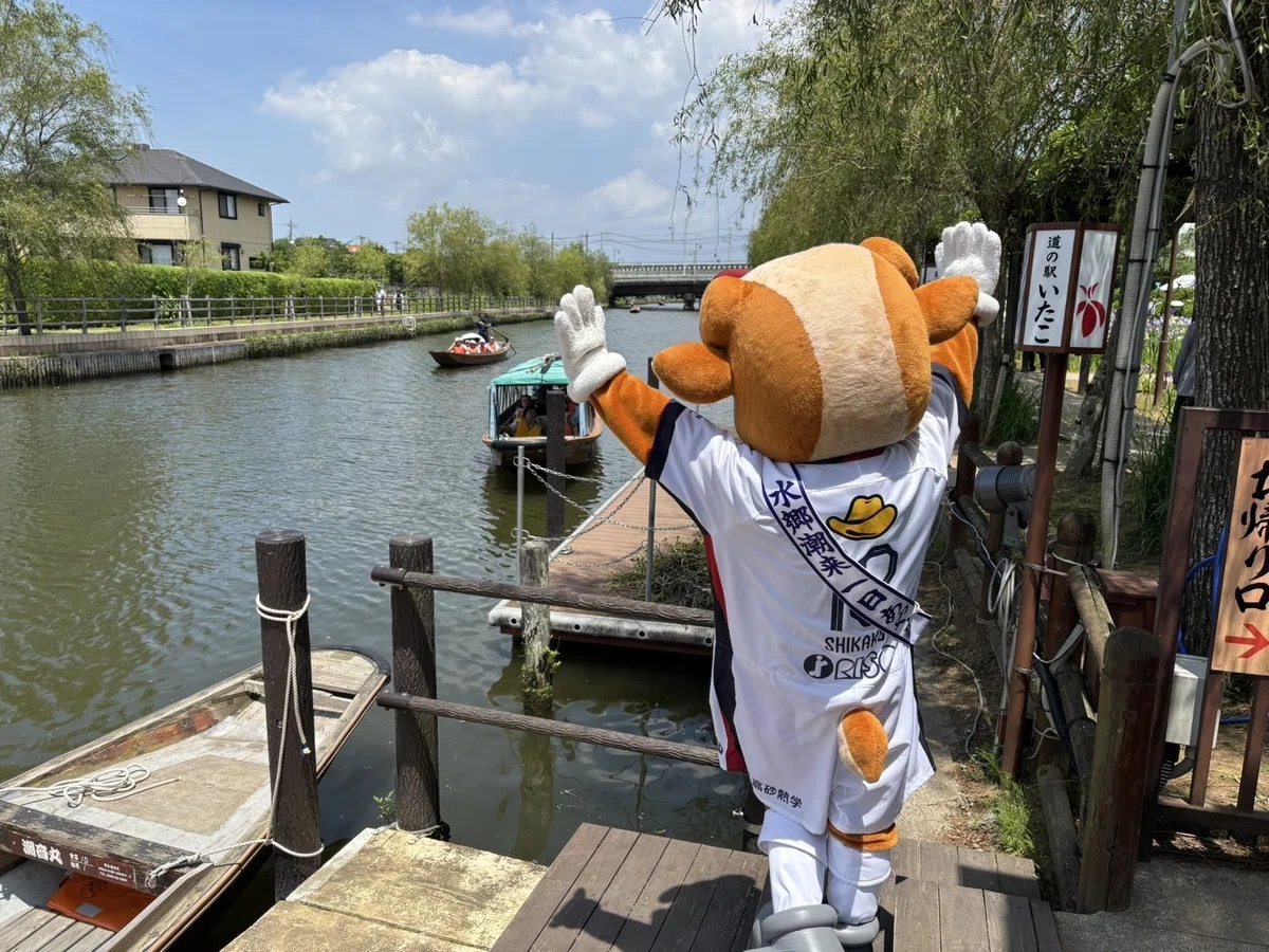 水郷潮来一日あやめ娘として、しかこがPRしてきました！｜鹿島アントラーズ