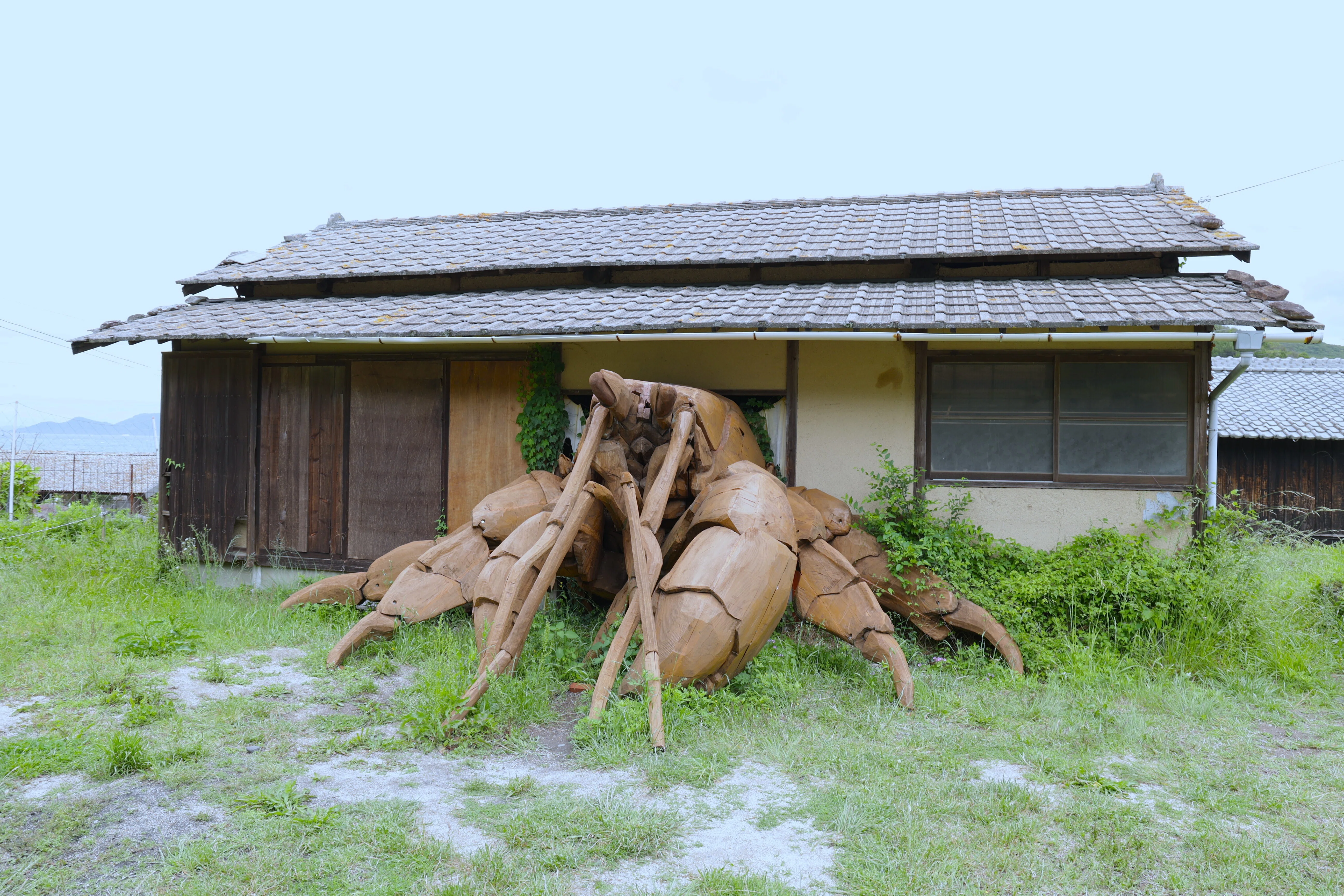 不思議な国の小人達。楽しさ出しました。 猫とヤドカリに逢いに早朝,小豆島まで【瀬戸内国際芸術祭2025】｜Abbey