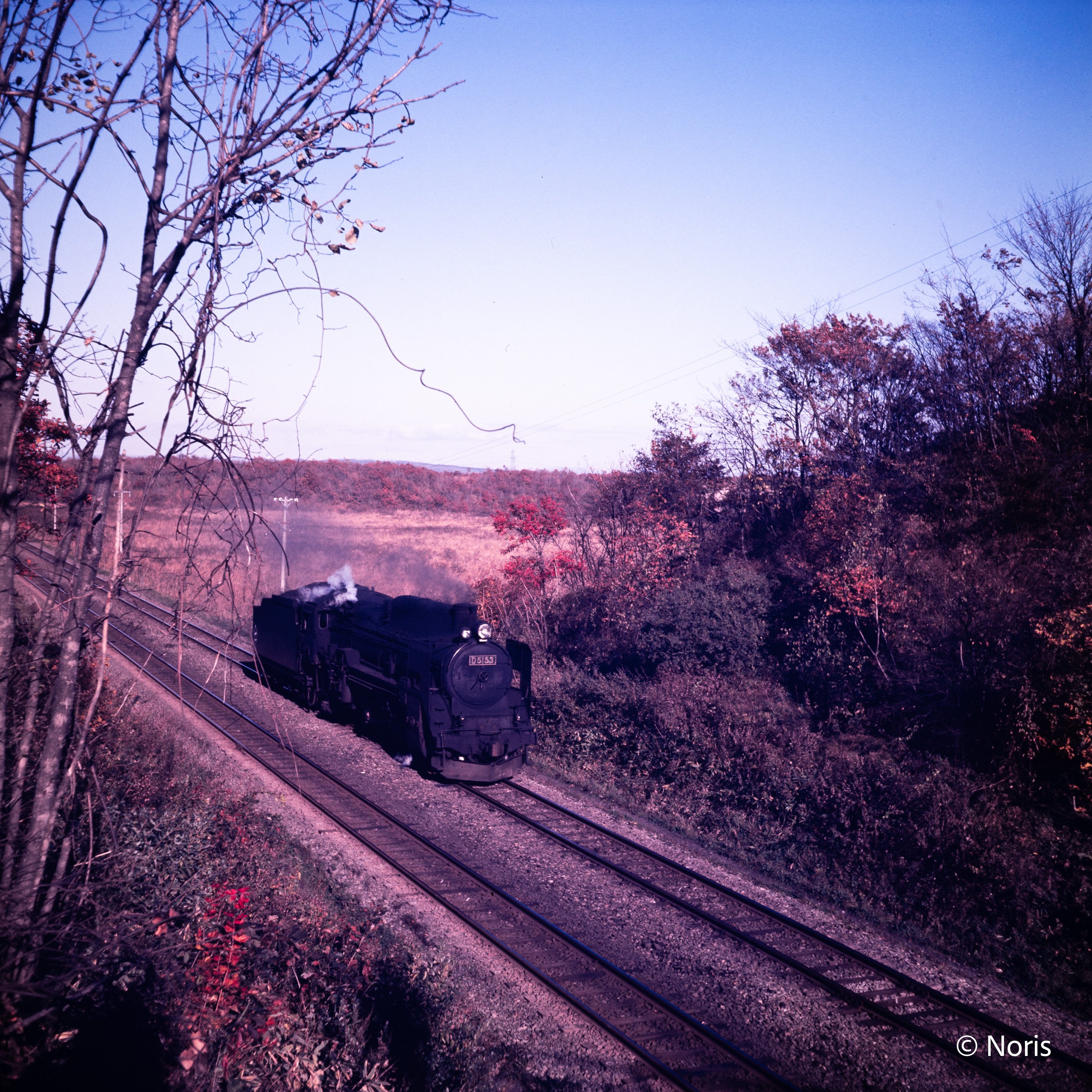 参考画像 イタリアのエルメスと称されるヴァレクストラのマイクロイジィデ