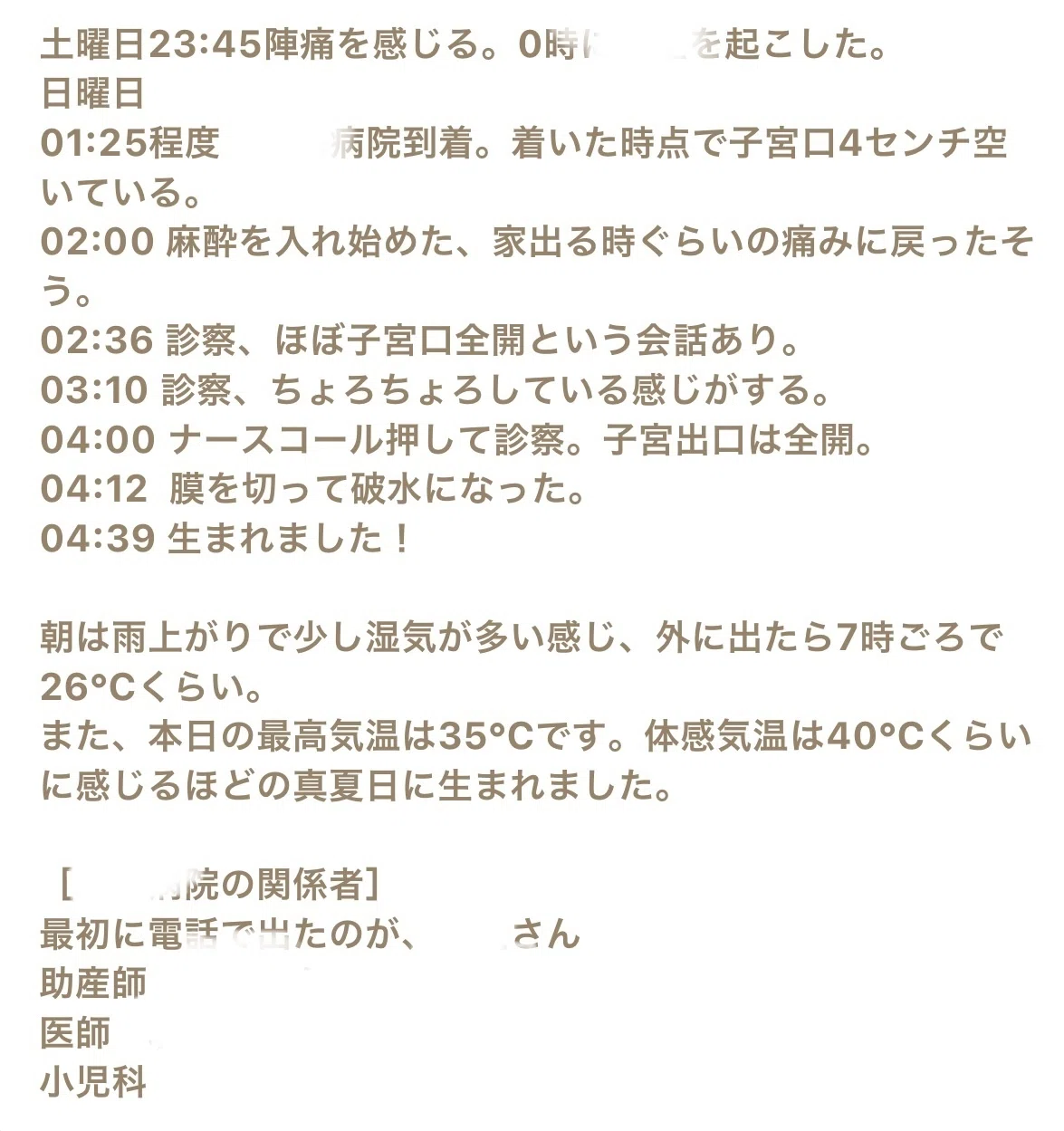 活動歴および当時の関連ビジュアル記録
