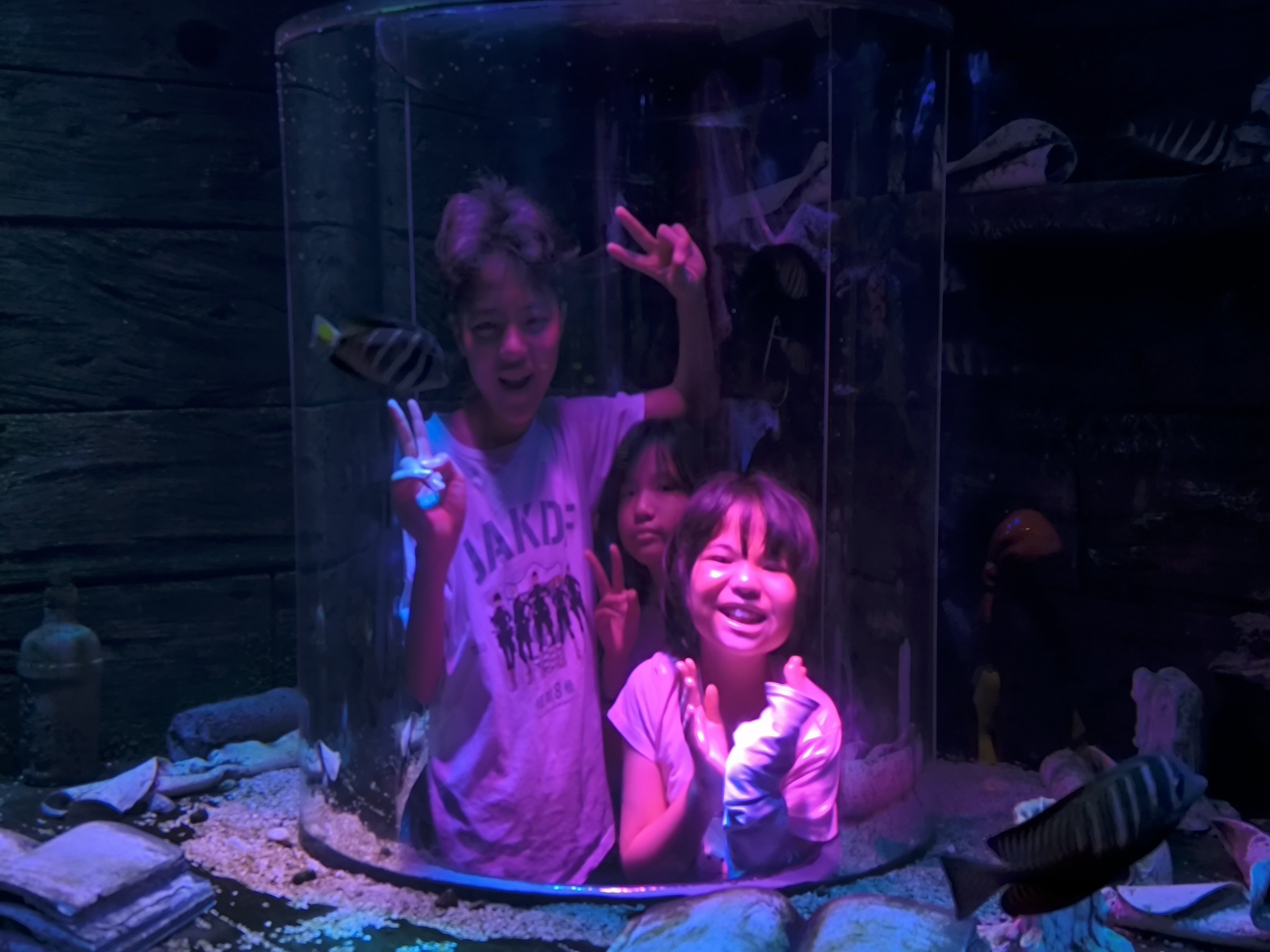 ジョホール生活⑦レゴランド・マレーシアのシーライフ（水族館）を子供