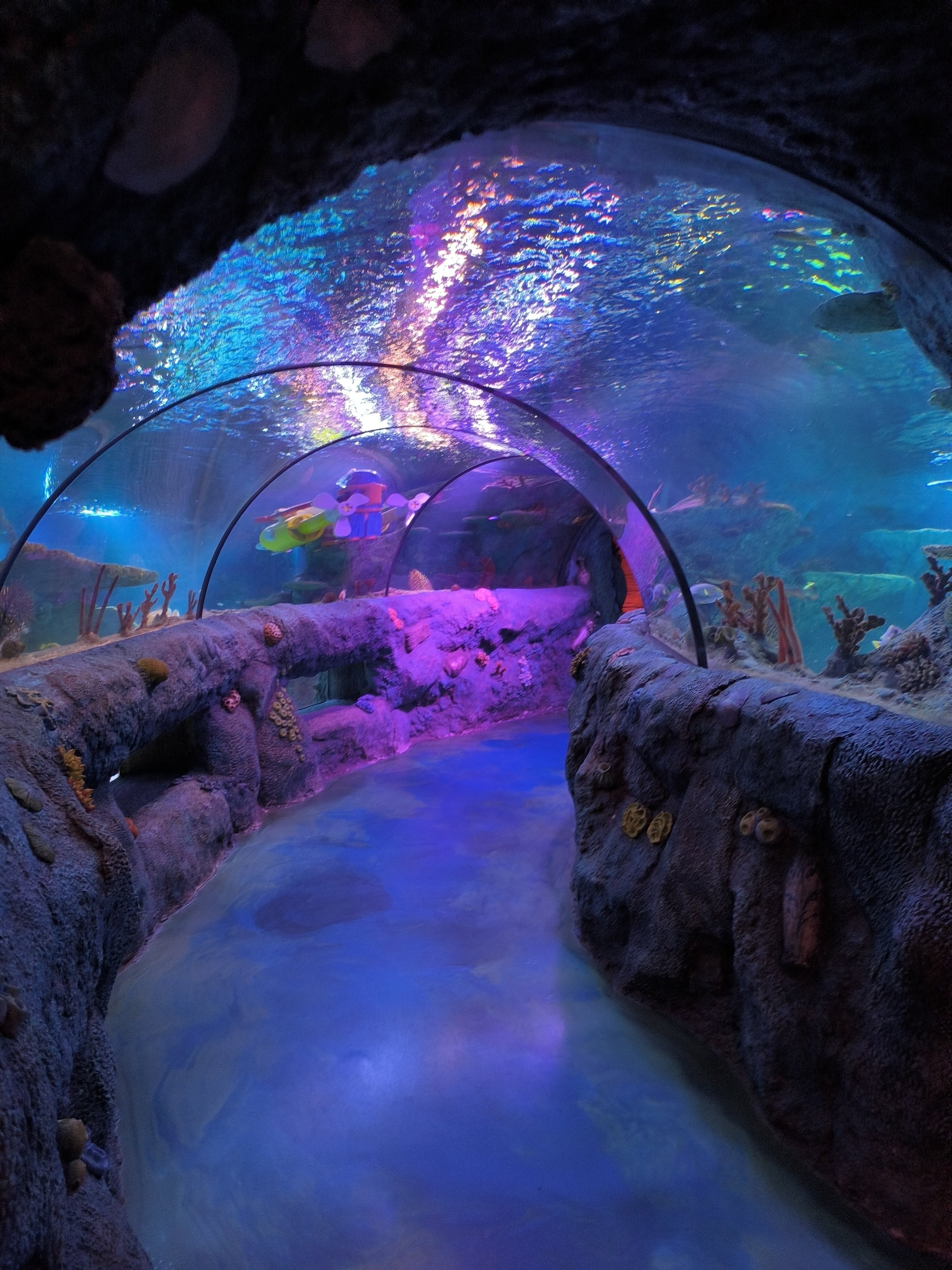 ジョホール生活⑦レゴランド・マレーシアのシーライフ（水族館）を子供