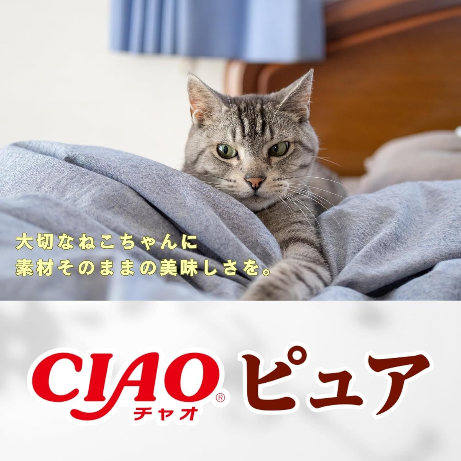 チャオ (CIAO) ピュアちゅ〜る【2025年最新】徹底レビュー！人気