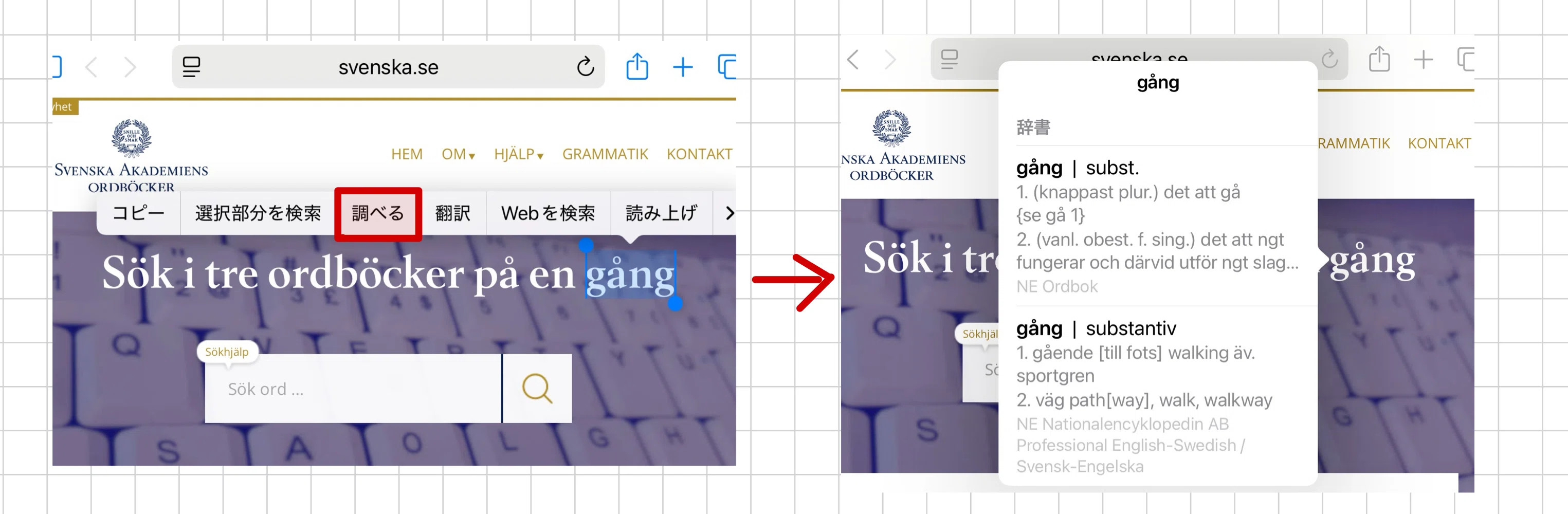 スウェーデン語学習ツール(3) Appleユーザー向け辞書編【2025年6月版