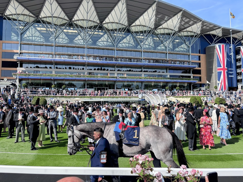 海外競馬鑑賞】英・アスコット競馬場│Ascot Racecourse｜Kotaro S