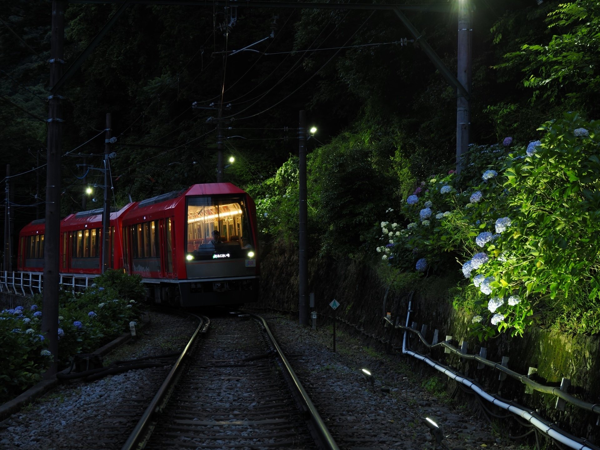 鉄道探訪＞鉄道部 高橋渉・箱根登山電車「あじさい電車」｜OM