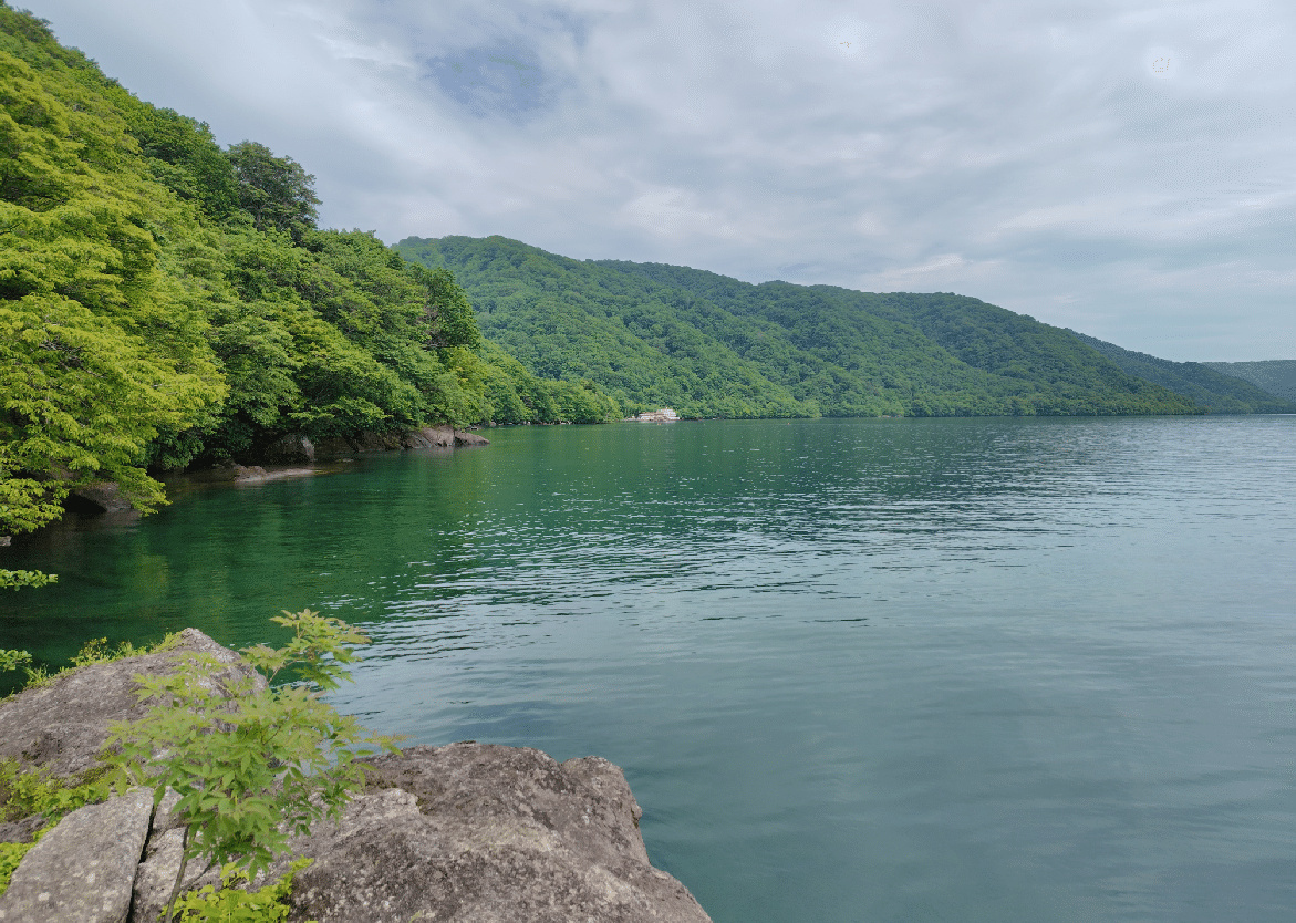 奥入瀬渓流があまりにも癒しだった話｜Picorin