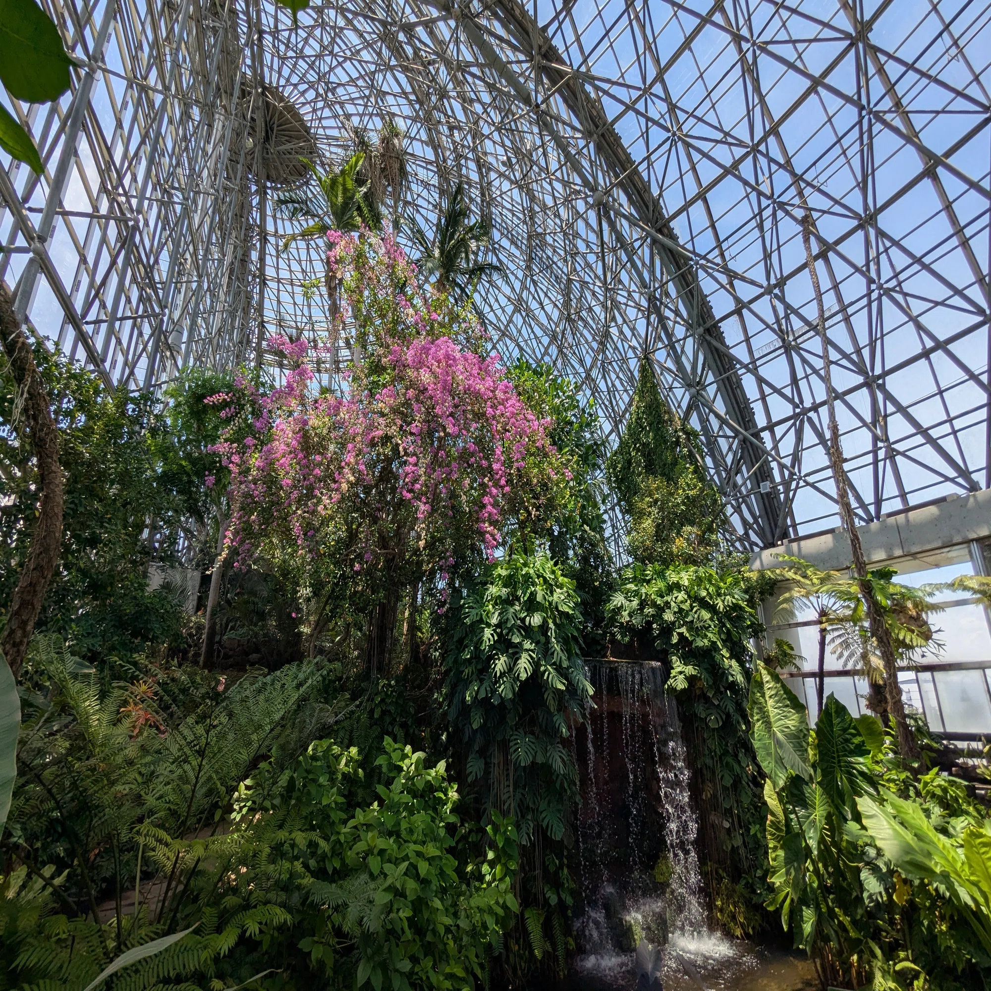 ソロ活】夢の島熱帯植物館｜植物たちに囲まれて｜ミナミ