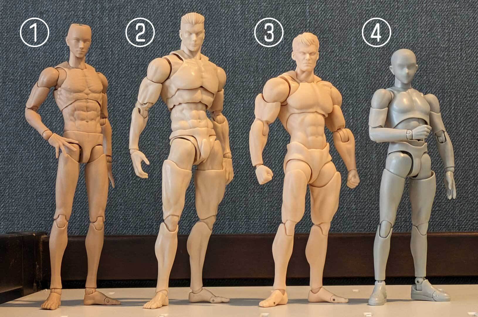 おえかき】男性素体比較2025夏｜zen