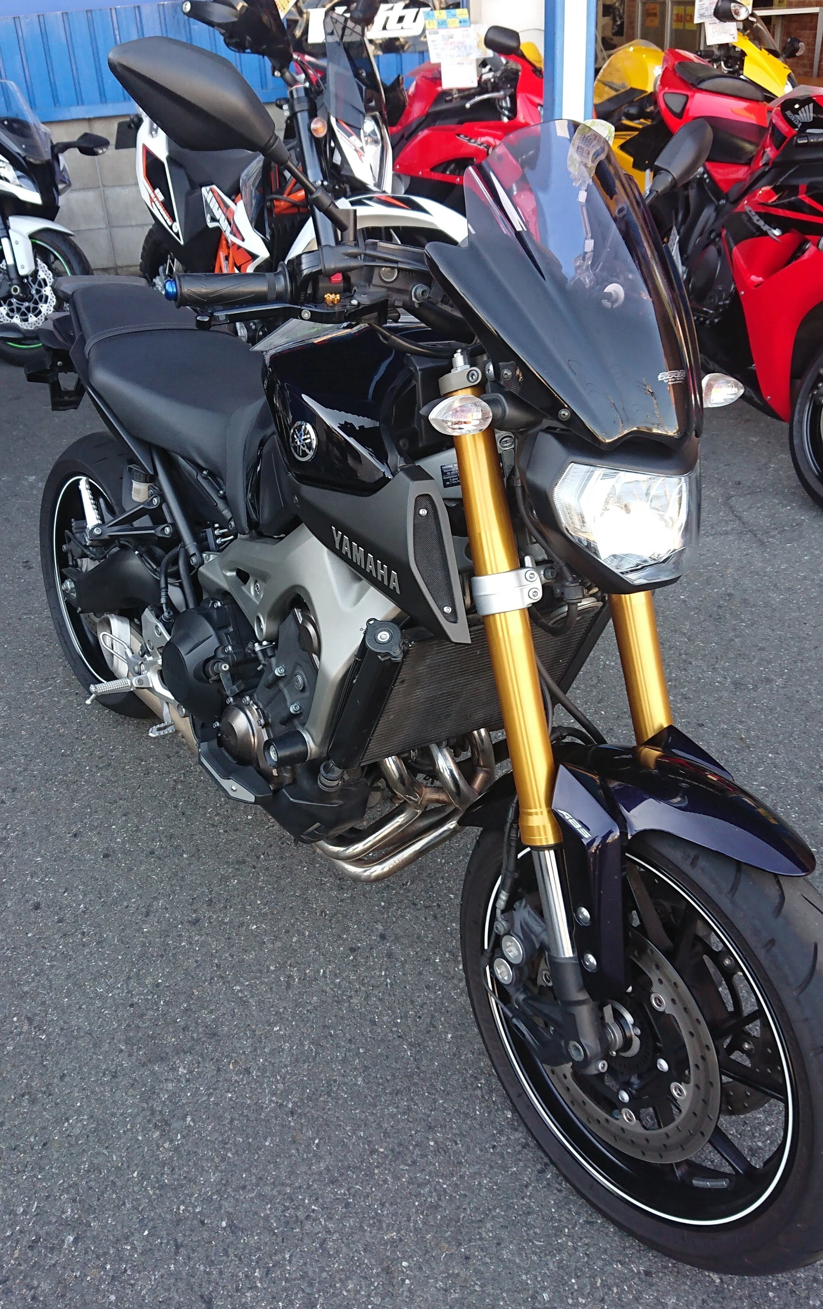 My 19-year-old daughter's motorcycle training story: Medium-sized ...