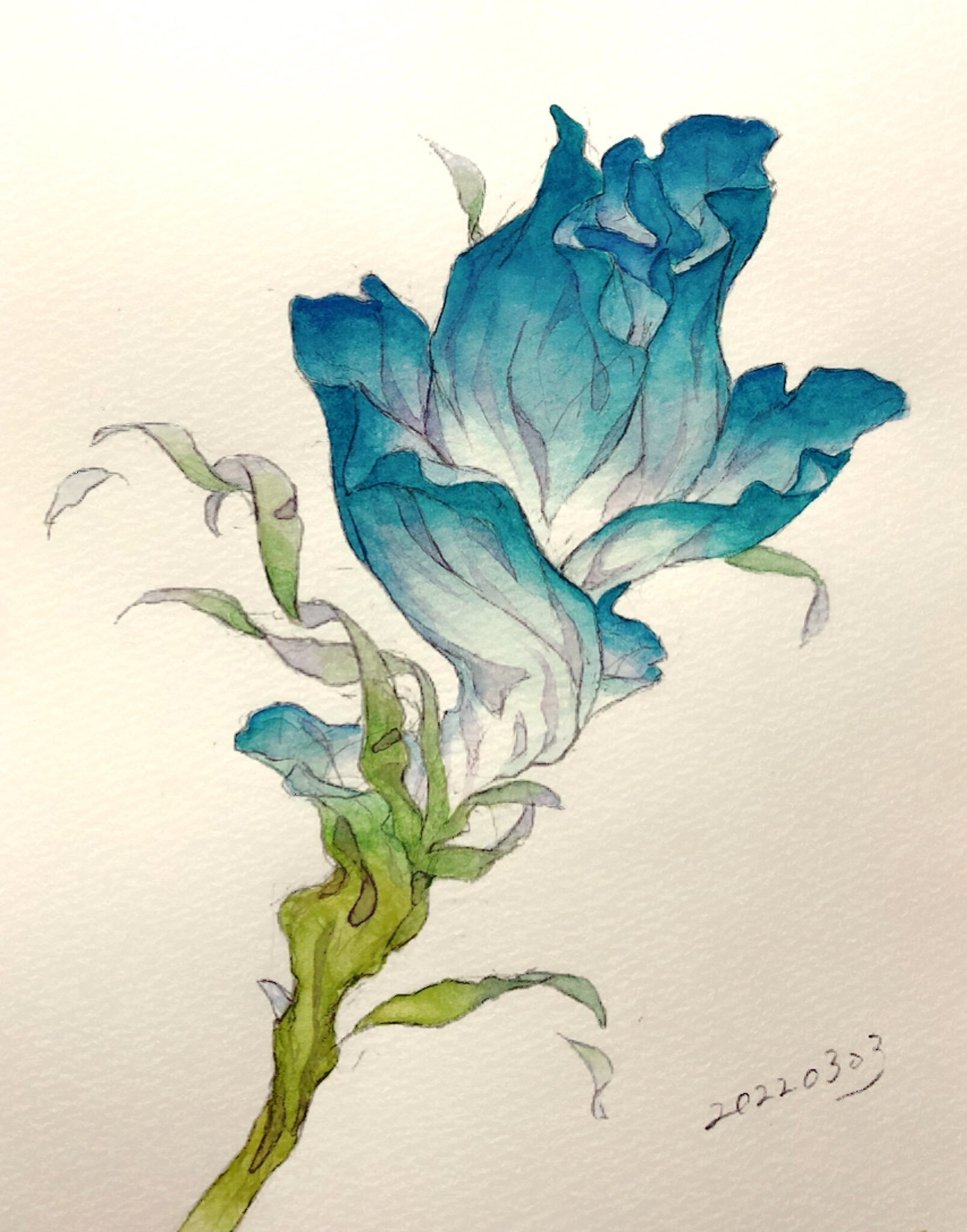 水彩画[題名なし] 水彩画・原画「ボクらの夏休み、森へ行こう！」 | iichi 日々の暮らし