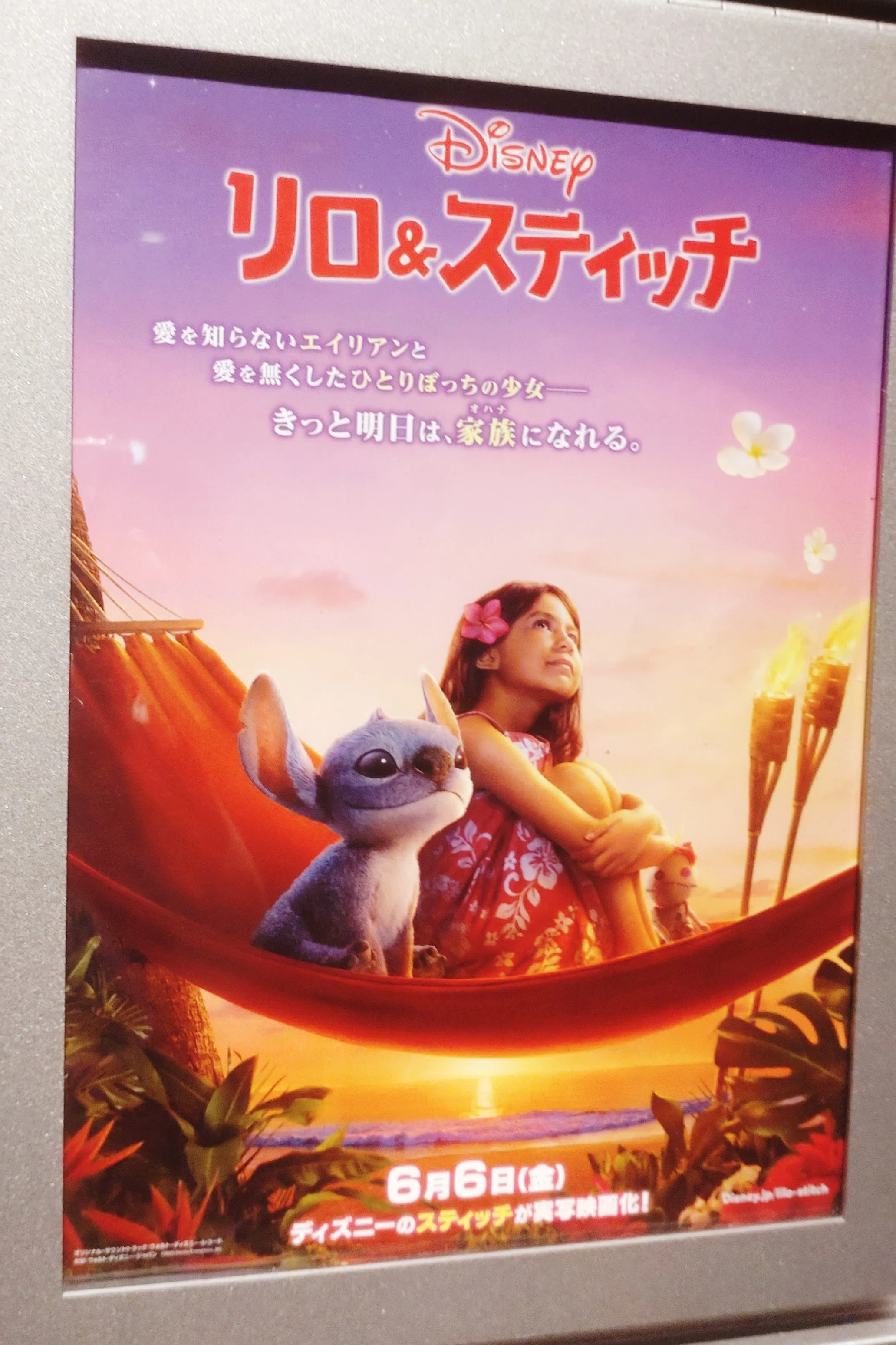 オハナは家族。家族はいつもそばにいる。｜アシタ