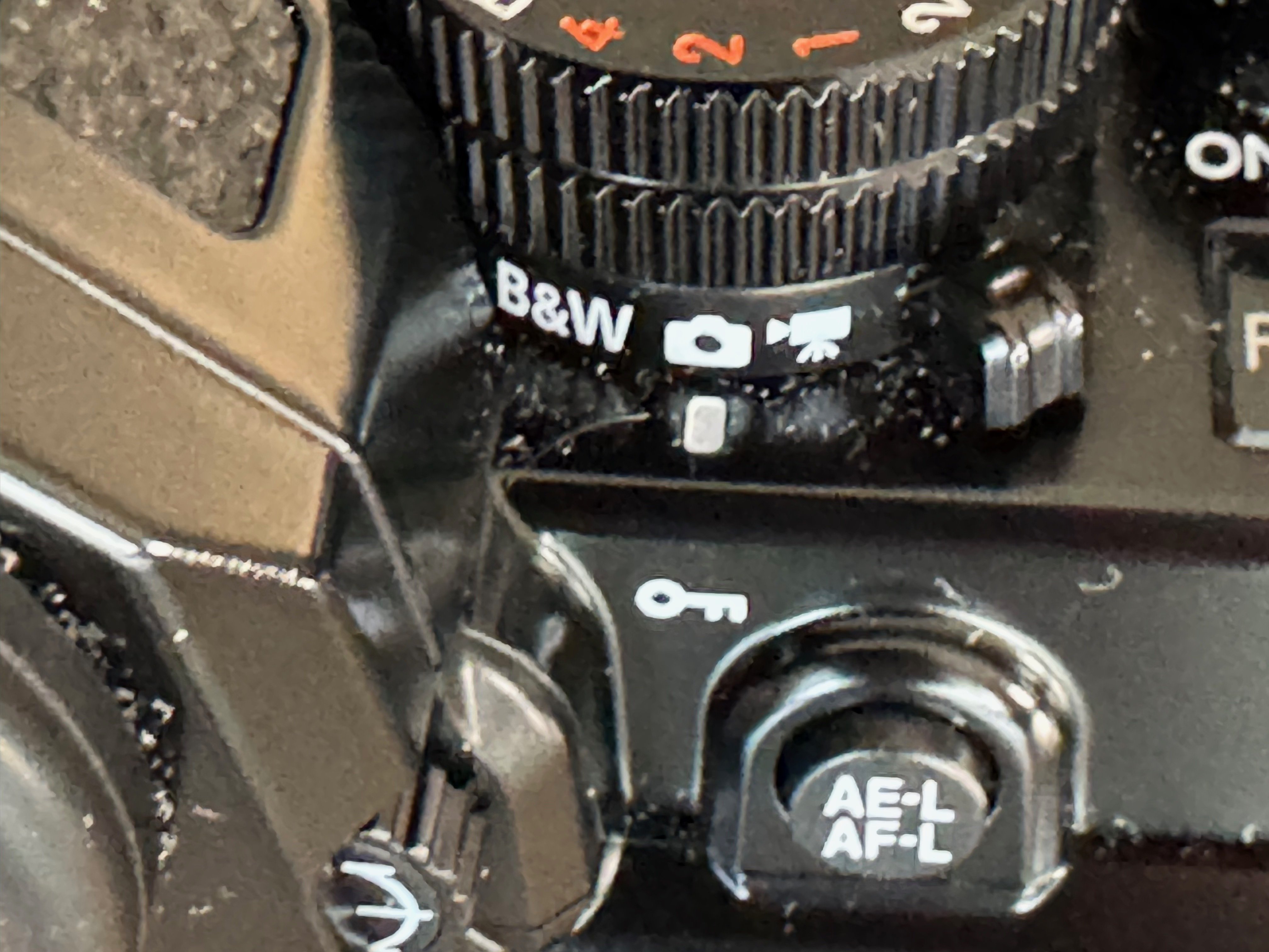 一周まわってNikonに帰ってきましたという話（素人がプロになるための